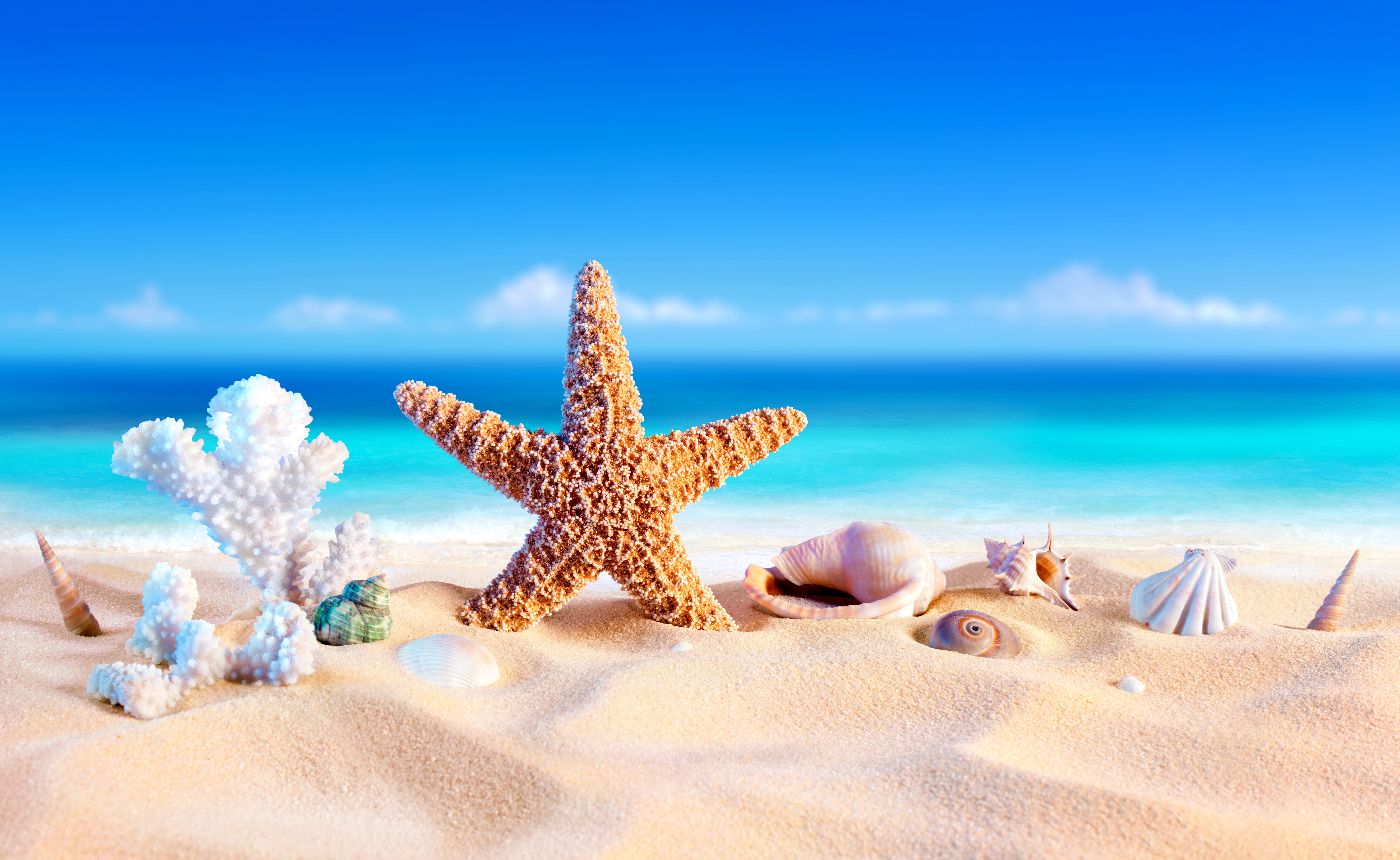 Скачать обои бесплатно Пляж, Песок, Лето, Ракушки, Морская Звезда, Художественные картинка на рабочий стол ПК