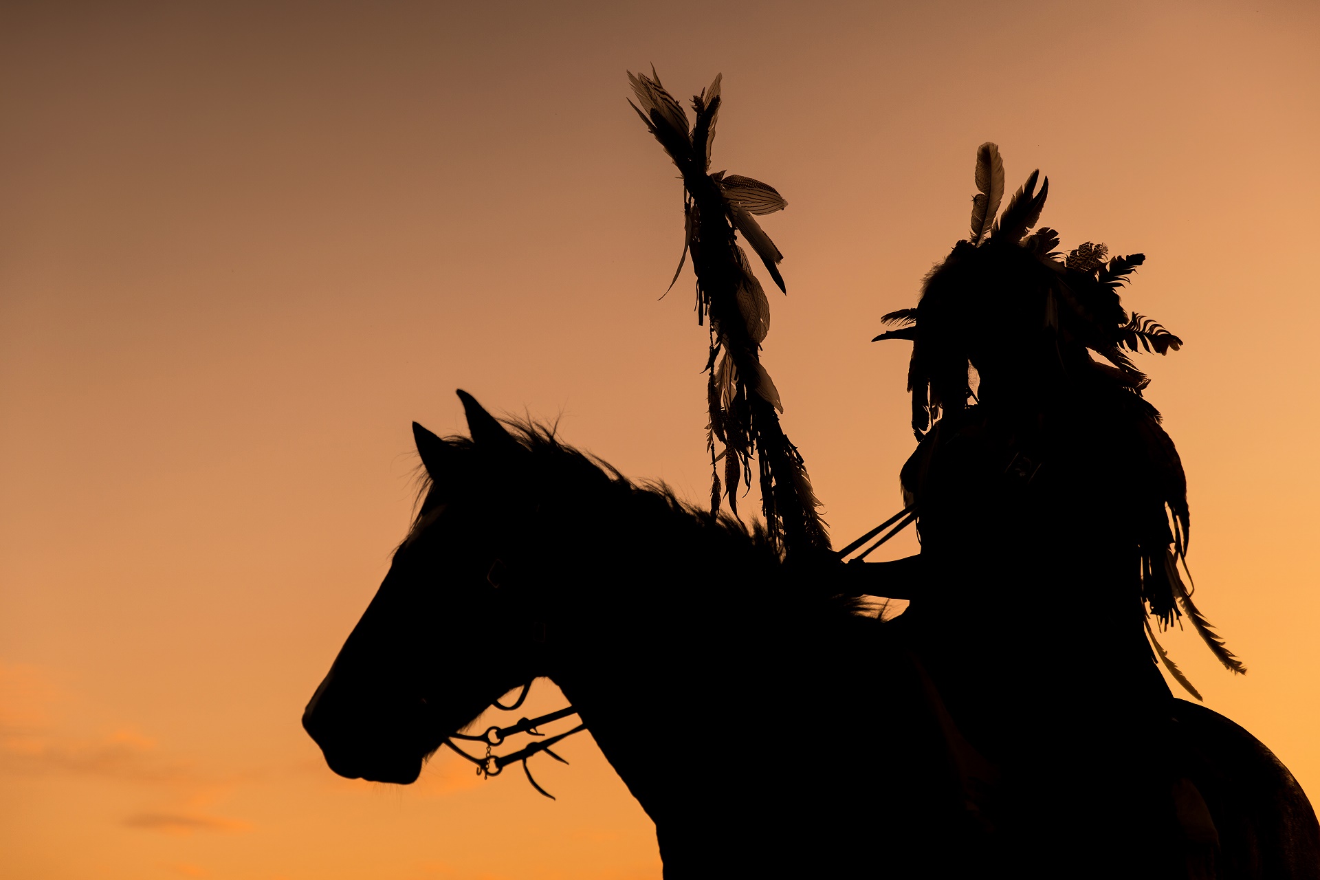 PCデスクトップに馬, シルエット, 写真撮影, ネイティブアメリカン画像を無料でダウンロード