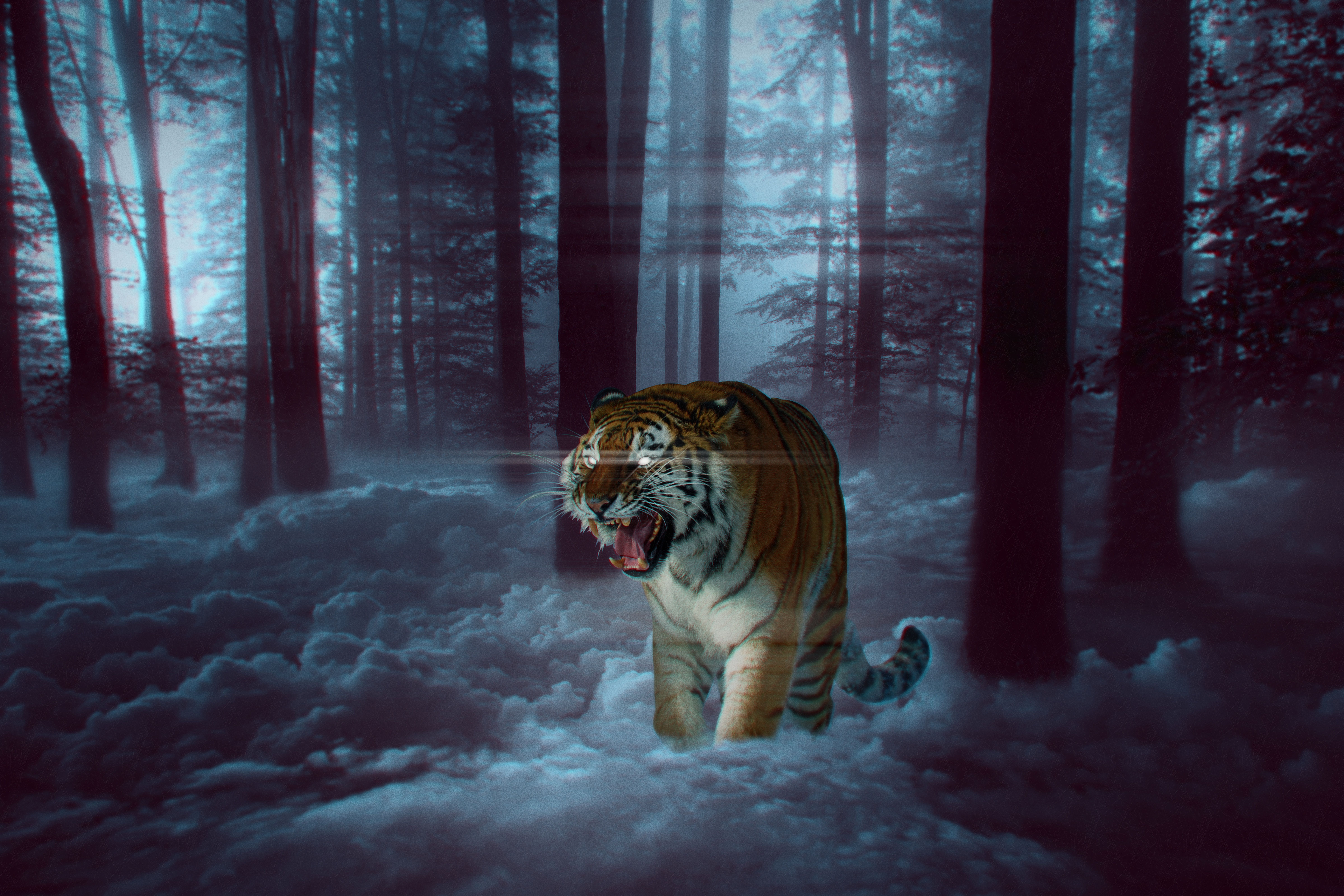 146099 скачать картинку фотошоп, туман, тигр, животные, лес, оскал - обои и заставки бесплатно