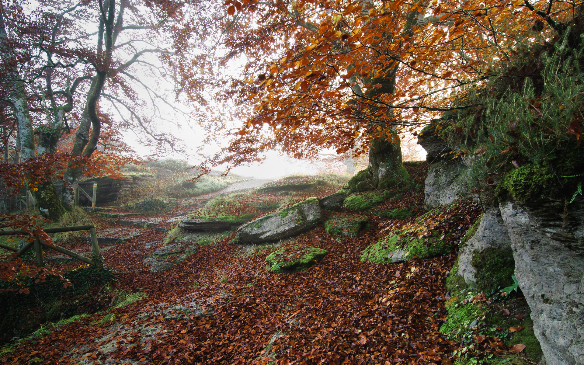 Téléchargez des papiers peints mobile Automne, Terre/nature gratuitement.