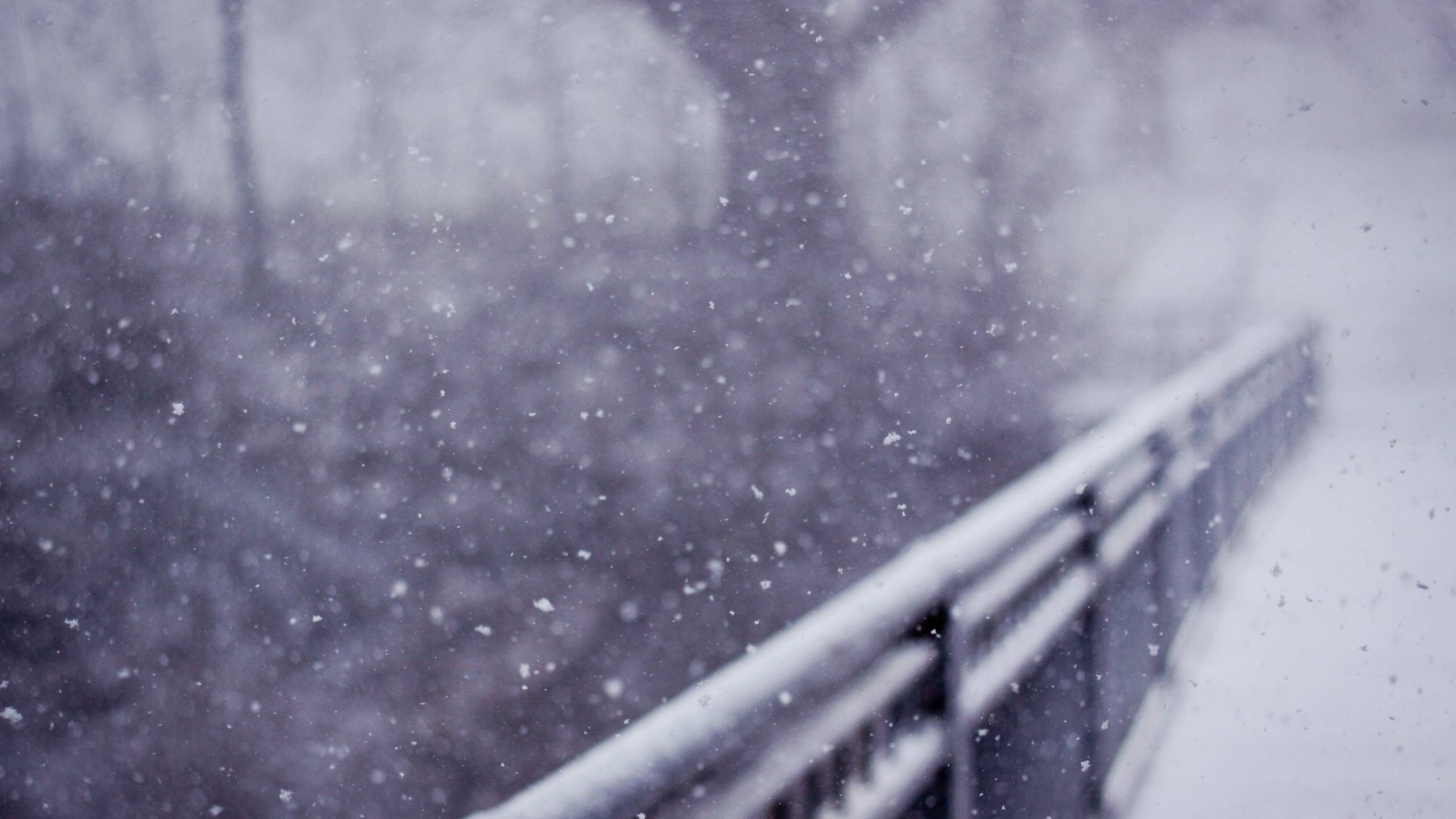 Laden Sie das Winter, Fotografie-Bild kostenlos auf Ihren PC-Desktop herunter