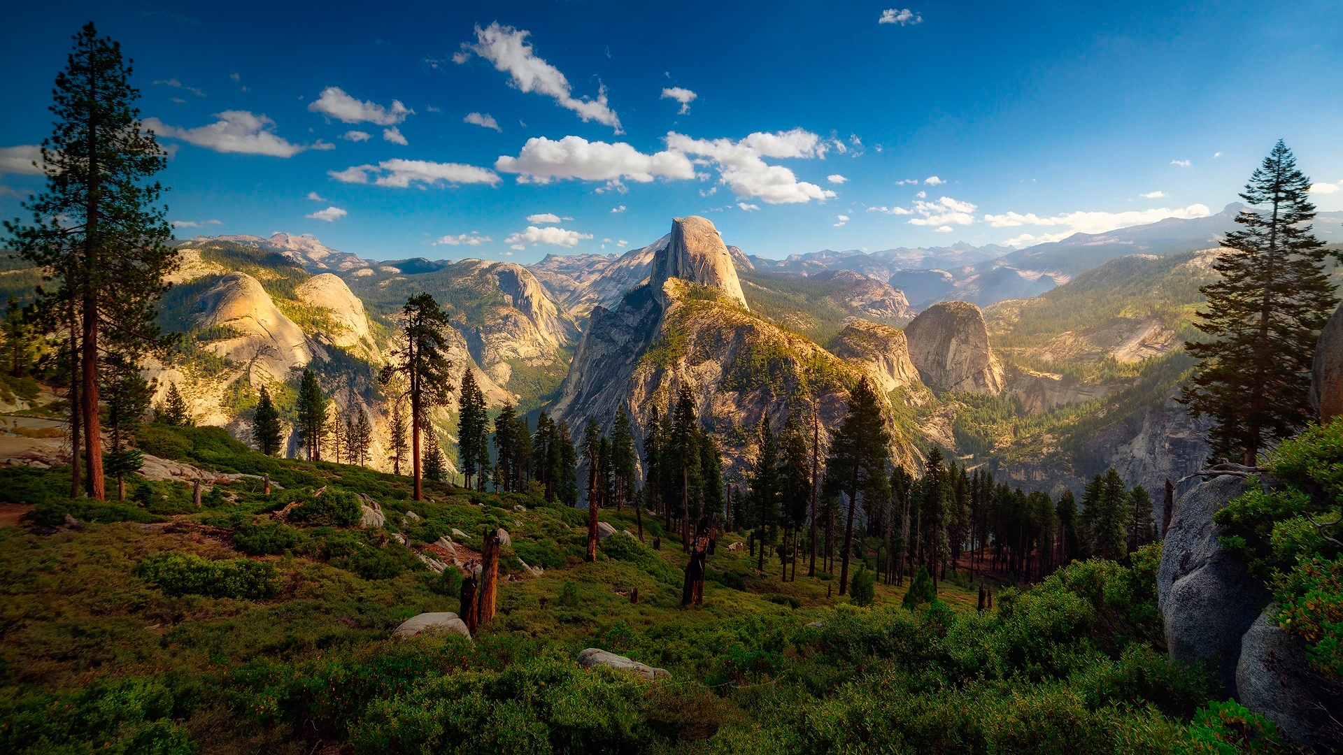 Descarga gratuita de fondo de pantalla para móvil de Paisaje, Naturaleza, Montaña, Árbol, Tierra/naturaleza.