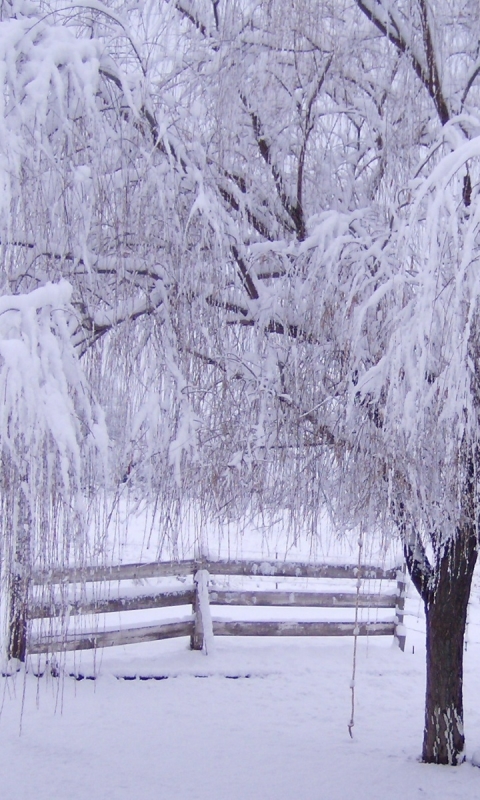 Baixar papel de parede para celular de Inverno, Terra/natureza gratuito.