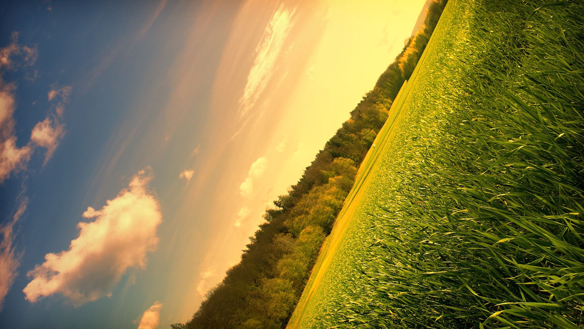 Free download wallpaper Trees, Sky, Field, Angle, Corner, Nature, Meadow on your PC desktop