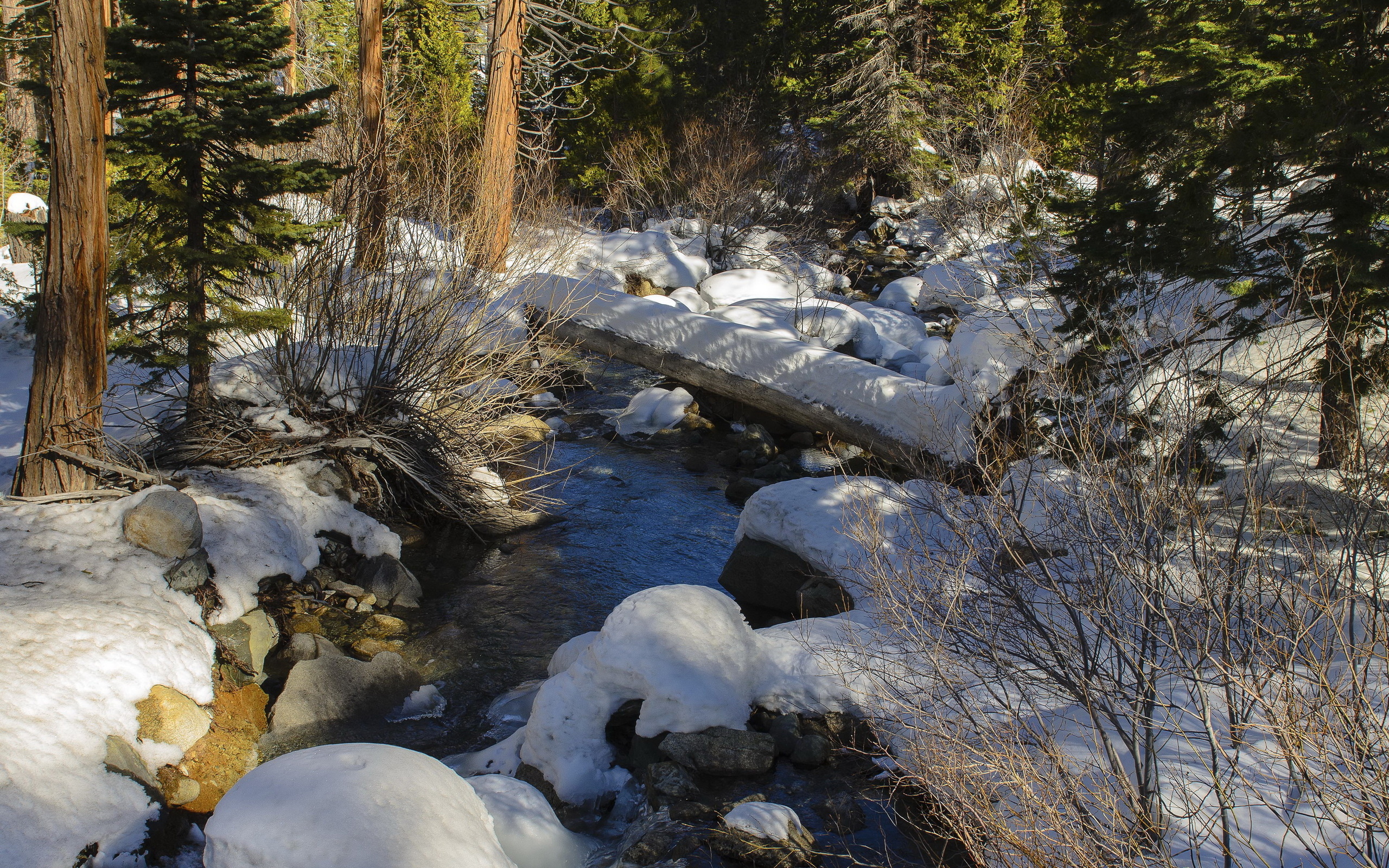 Descarga gratis la imagen Invierno, Tierra/naturaleza en el escritorio de tu PC