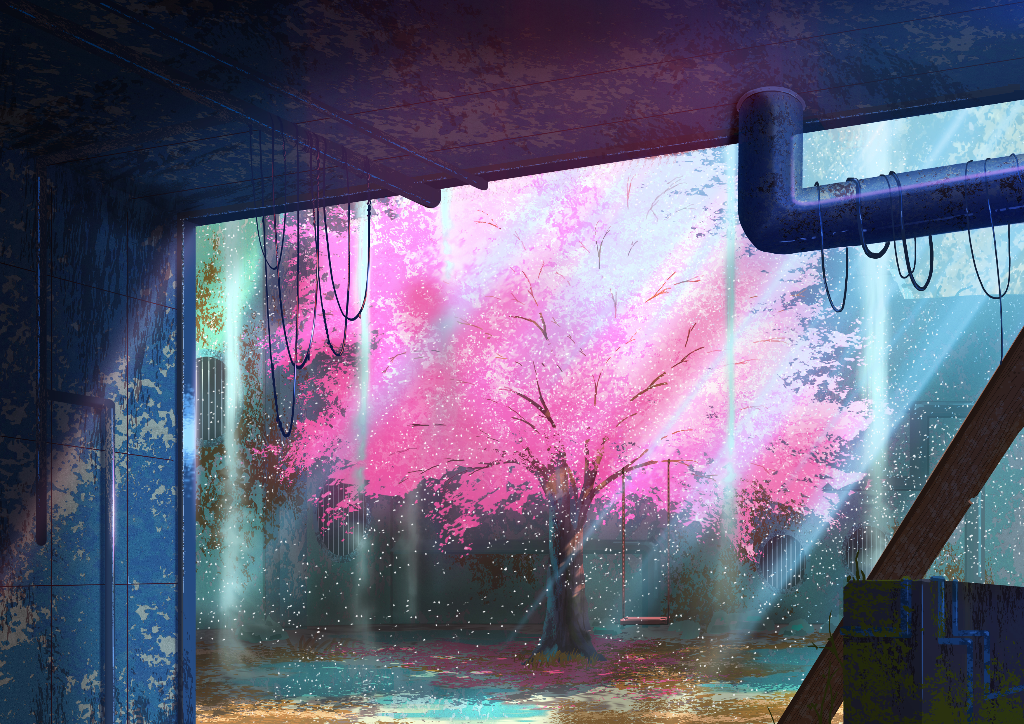 Free download wallpaper Anime, Sakura, Tree, Fall on your PC desktop