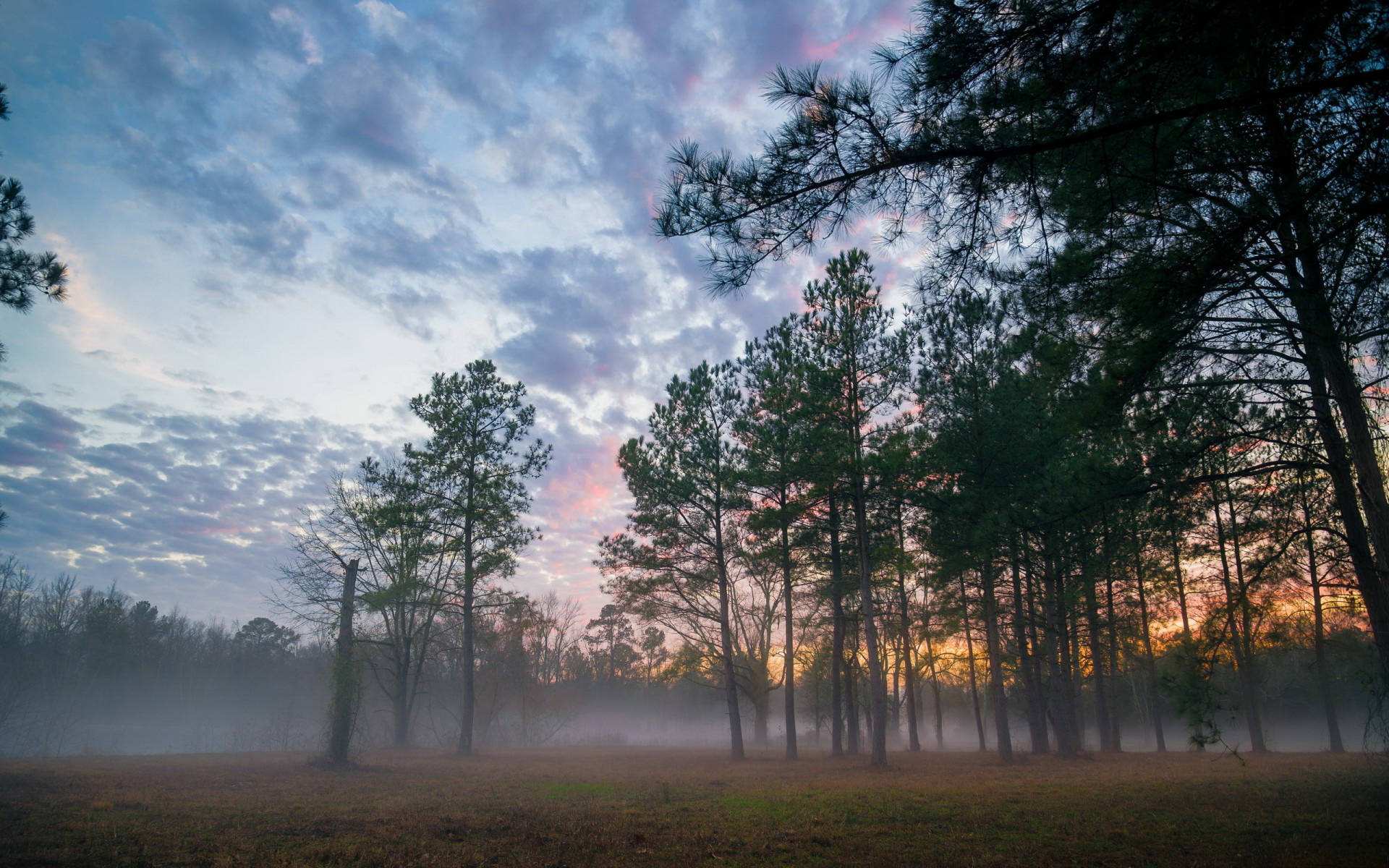 Free download wallpaper Fog, Earth on your PC desktop