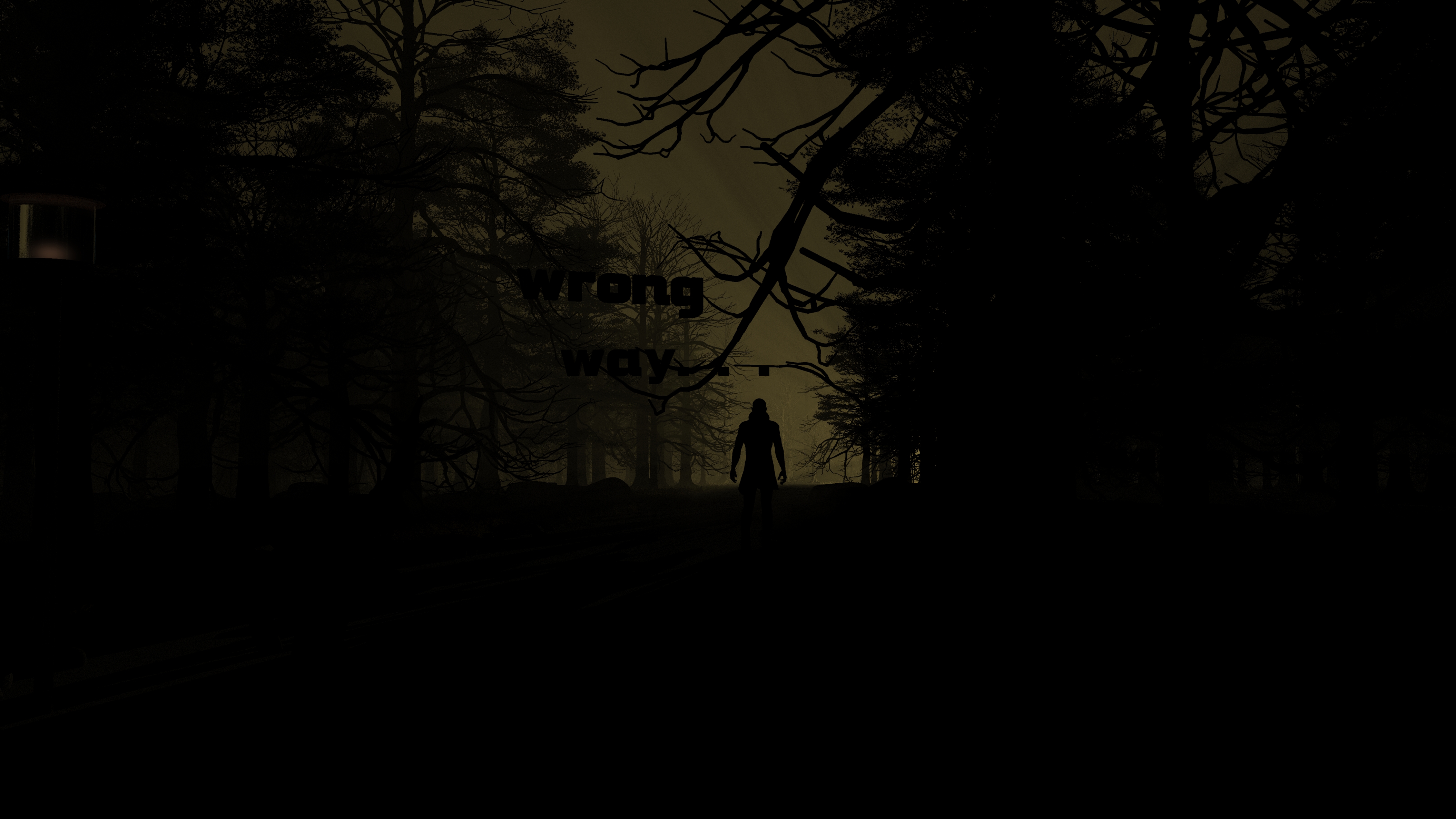 Free download wallpaper Trees, Night, Silhouette, Forest, Dark on your PC desktop
