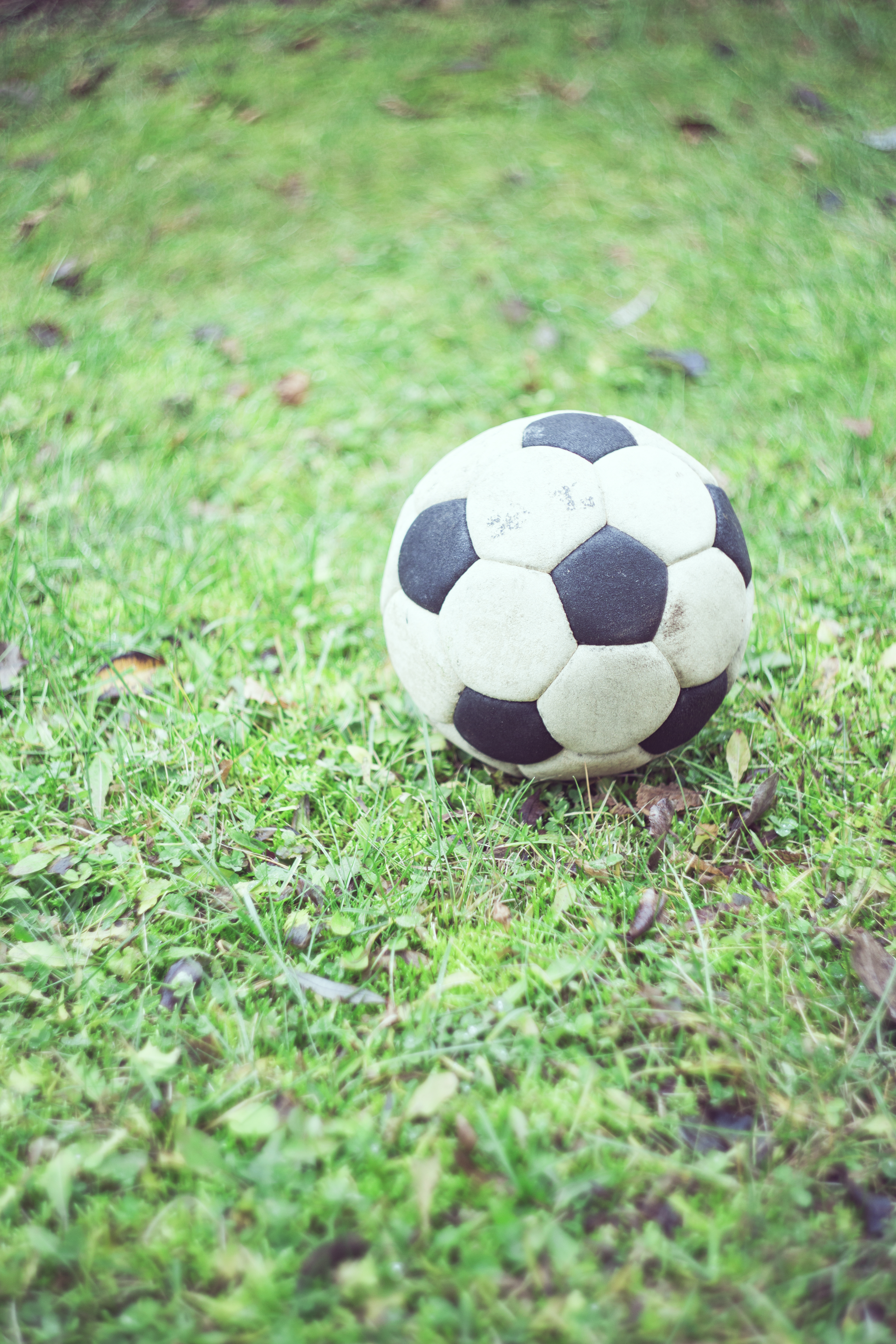 151688 скачать картинку футбольный мяч, спорт, трава, футбол, размытость - обои и заставки бесплатно