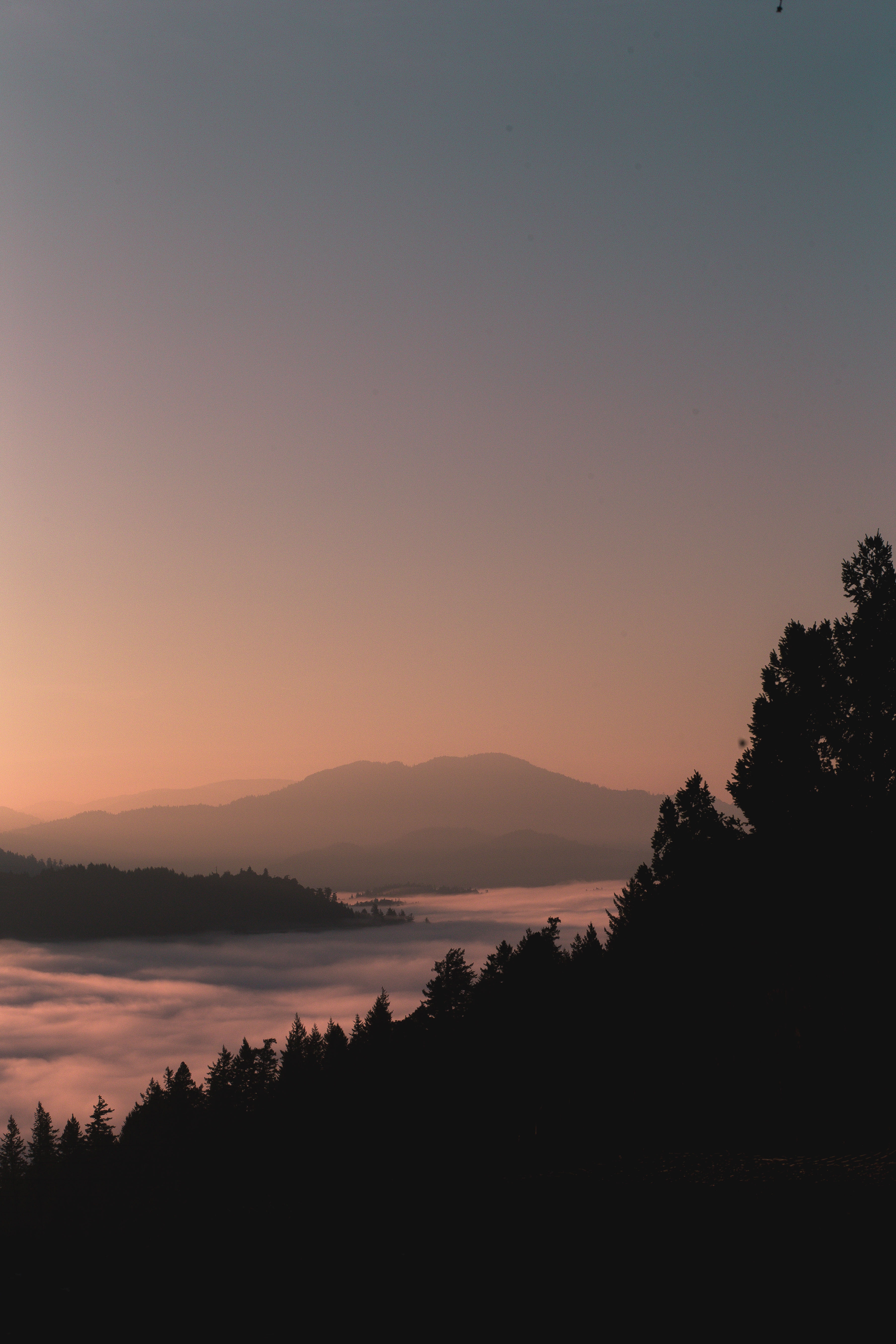 mountains, outlines, nature, twilight, forest, fog, dusk 2160p