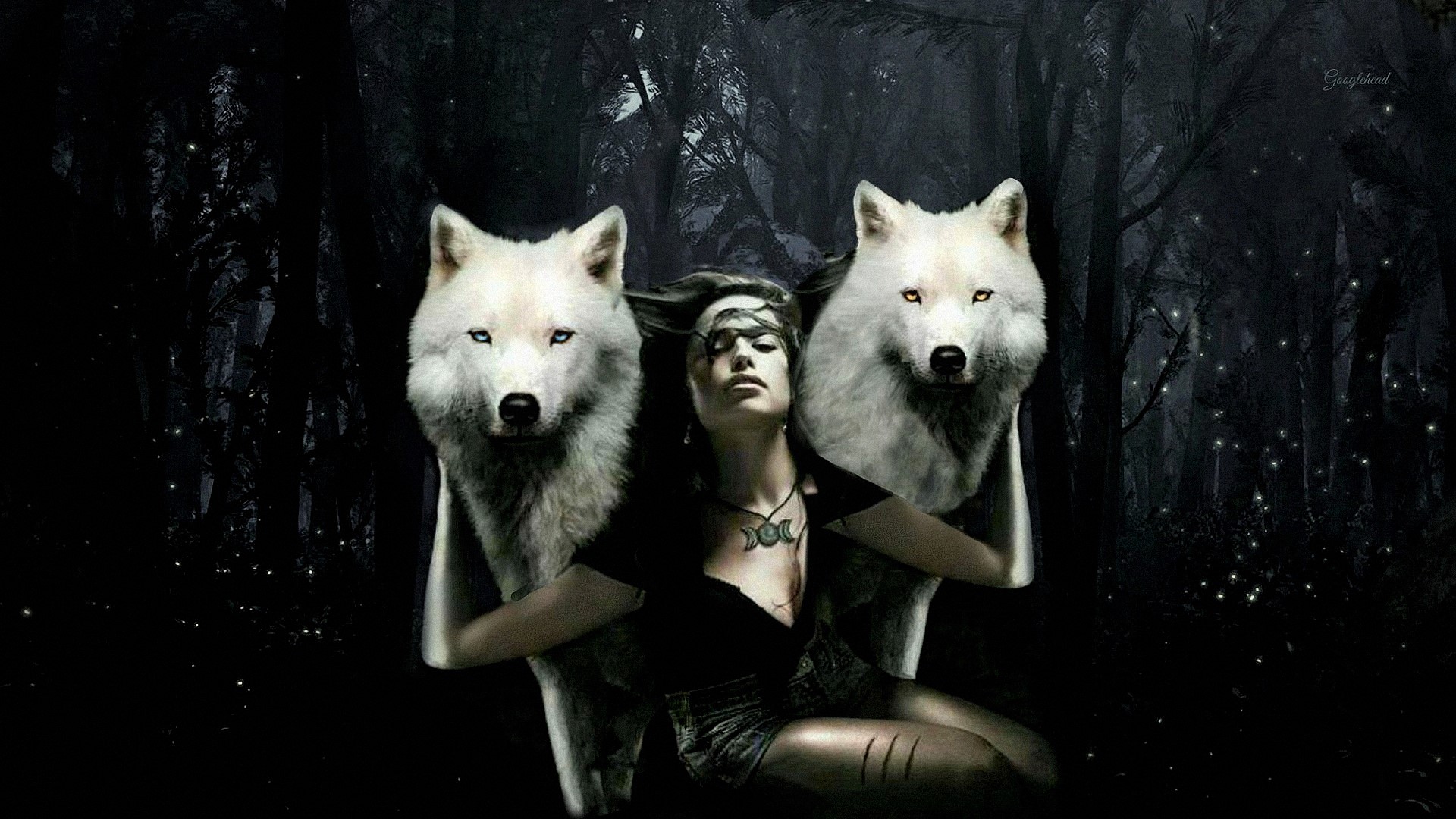 Download mobile wallpaper Forest, Wolf, Photoshop, Artistic, White Wolf, Manipulation for free.