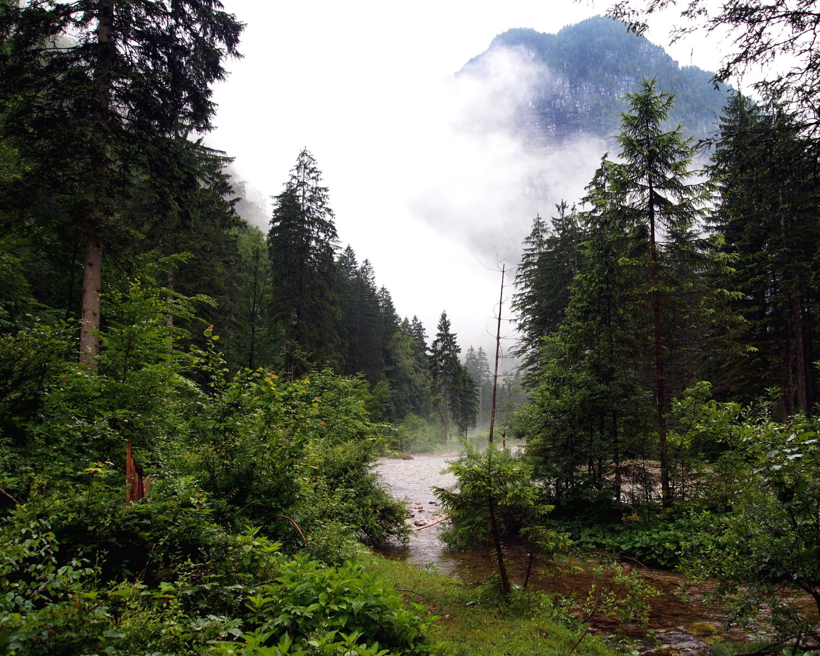 Laden Sie das Landschaft, Erde/natur-Bild kostenlos auf Ihren PC-Desktop herunter