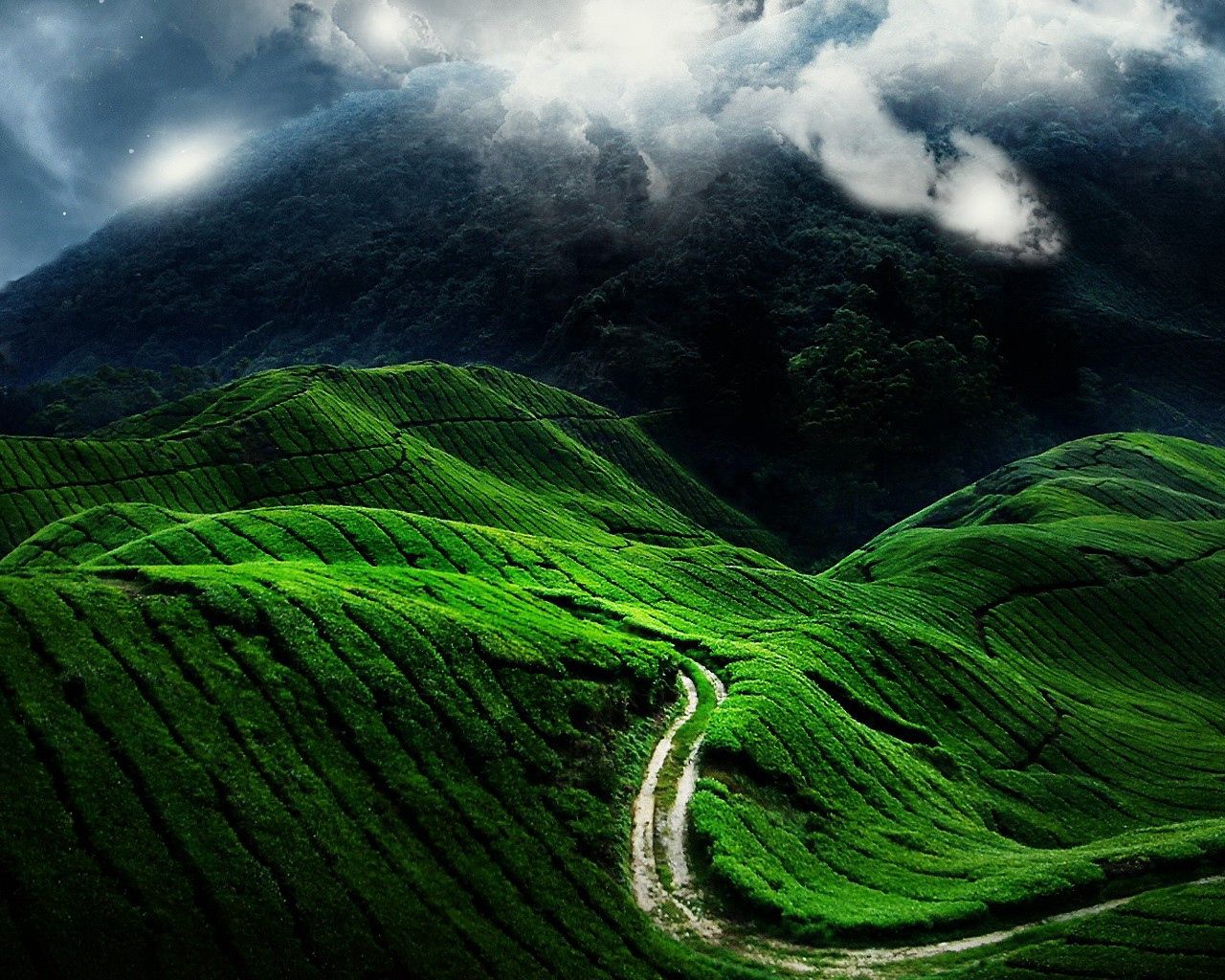 fields, nature, clouds, road, greens, slopes
