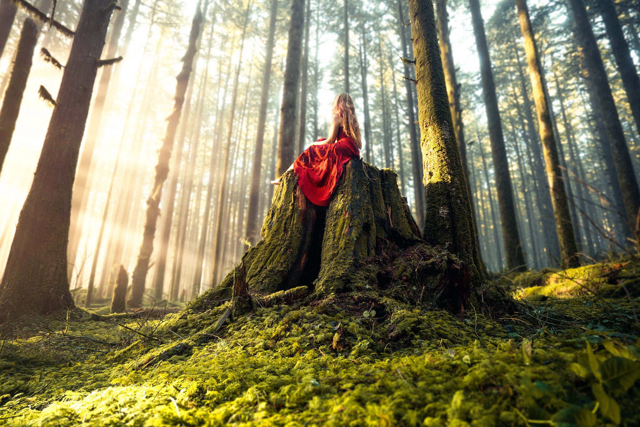 Download mobile wallpaper Forest, Mood, Blonde, Women, Sunbeam, Red Dress for free.
