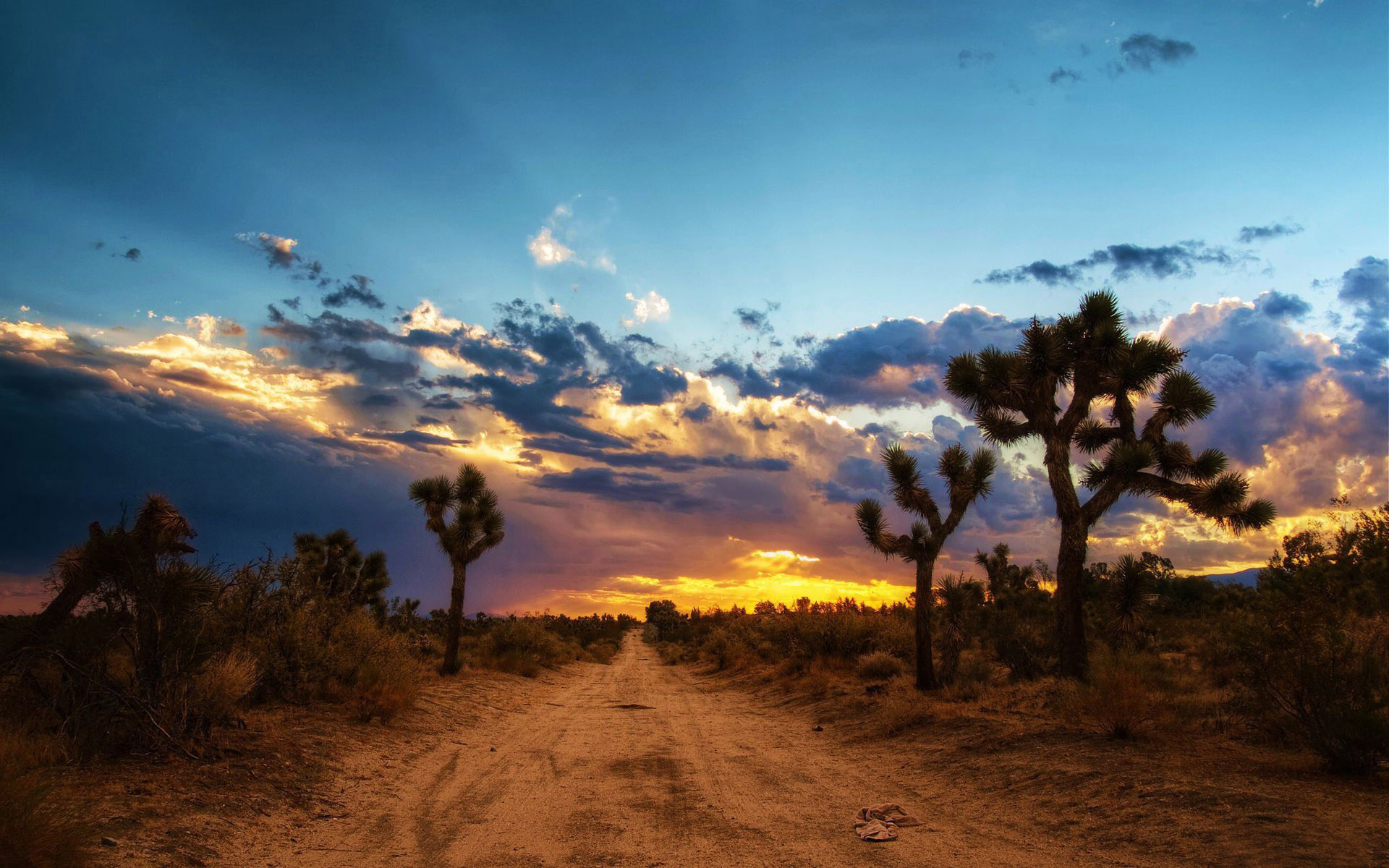 PCデスクトップに木, 日没, 道, 地球, カクタス, 空, 荒野, モハベ砂漠画像を無料でダウンロード