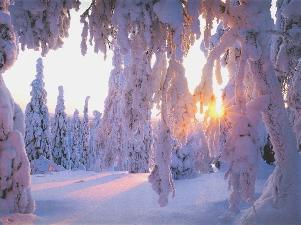 PC Wallpapers winter, earth