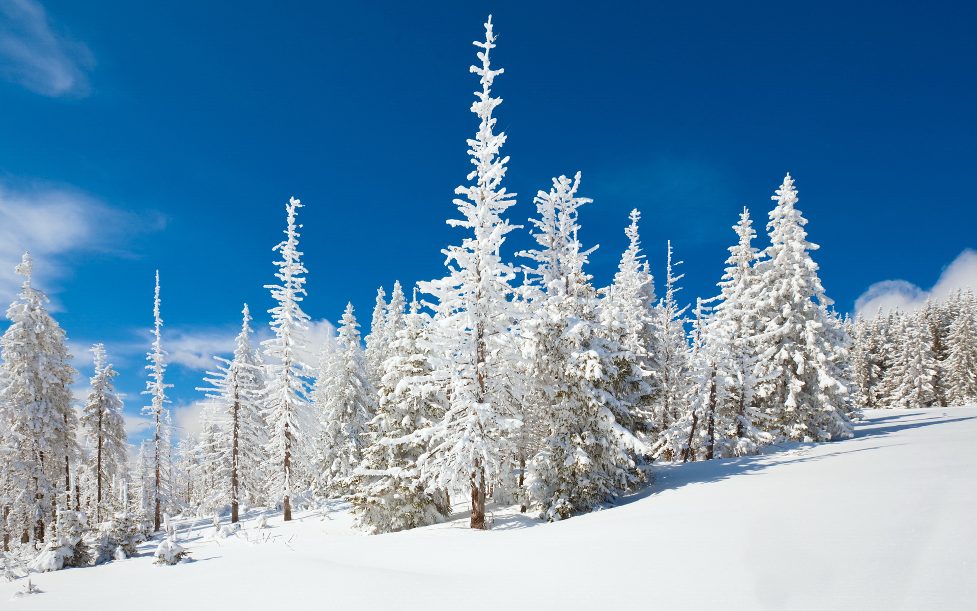 Téléchargez gratuitement l'image Hiver, Terre/nature sur le bureau de votre PC