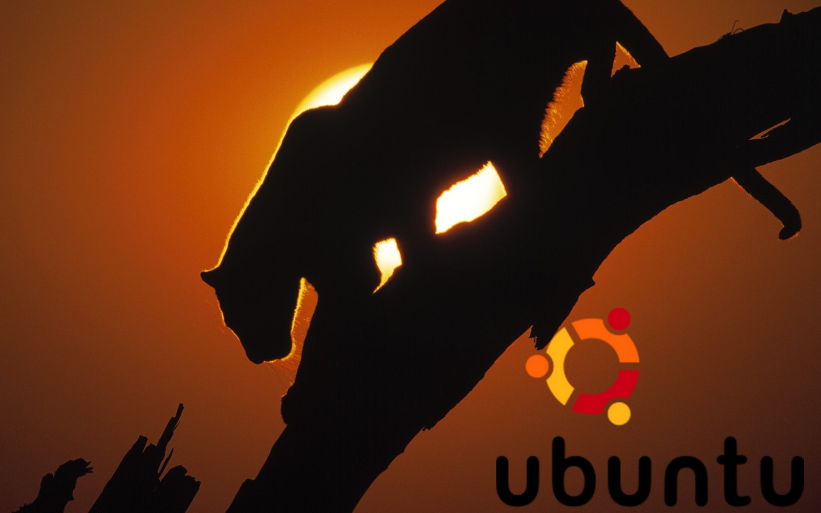 Скачать картинку Убунту, Технологии в телефон бесплатно.