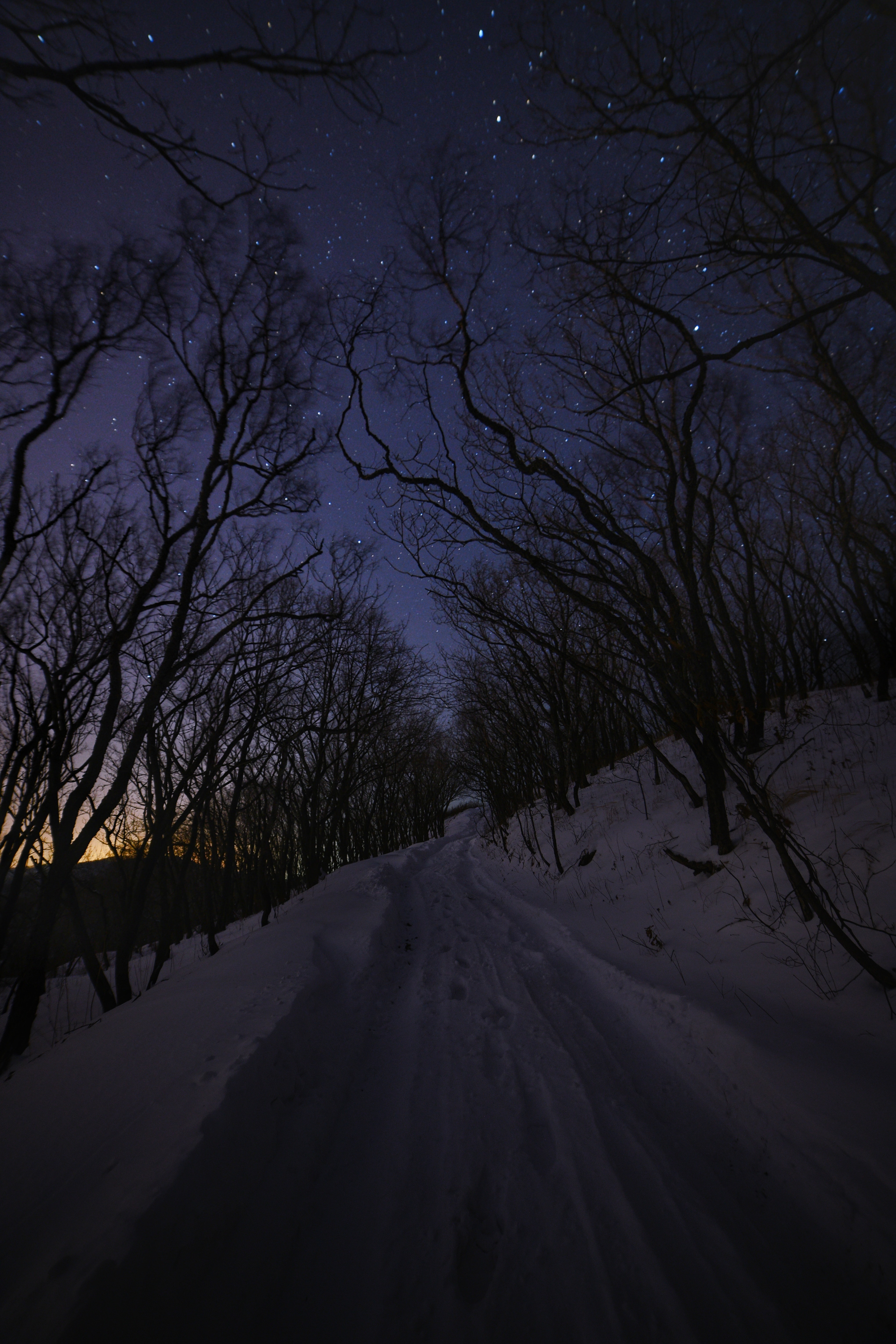 Download mobile wallpaper Snow, Road, Trees, Winter, Night, Dark for free.