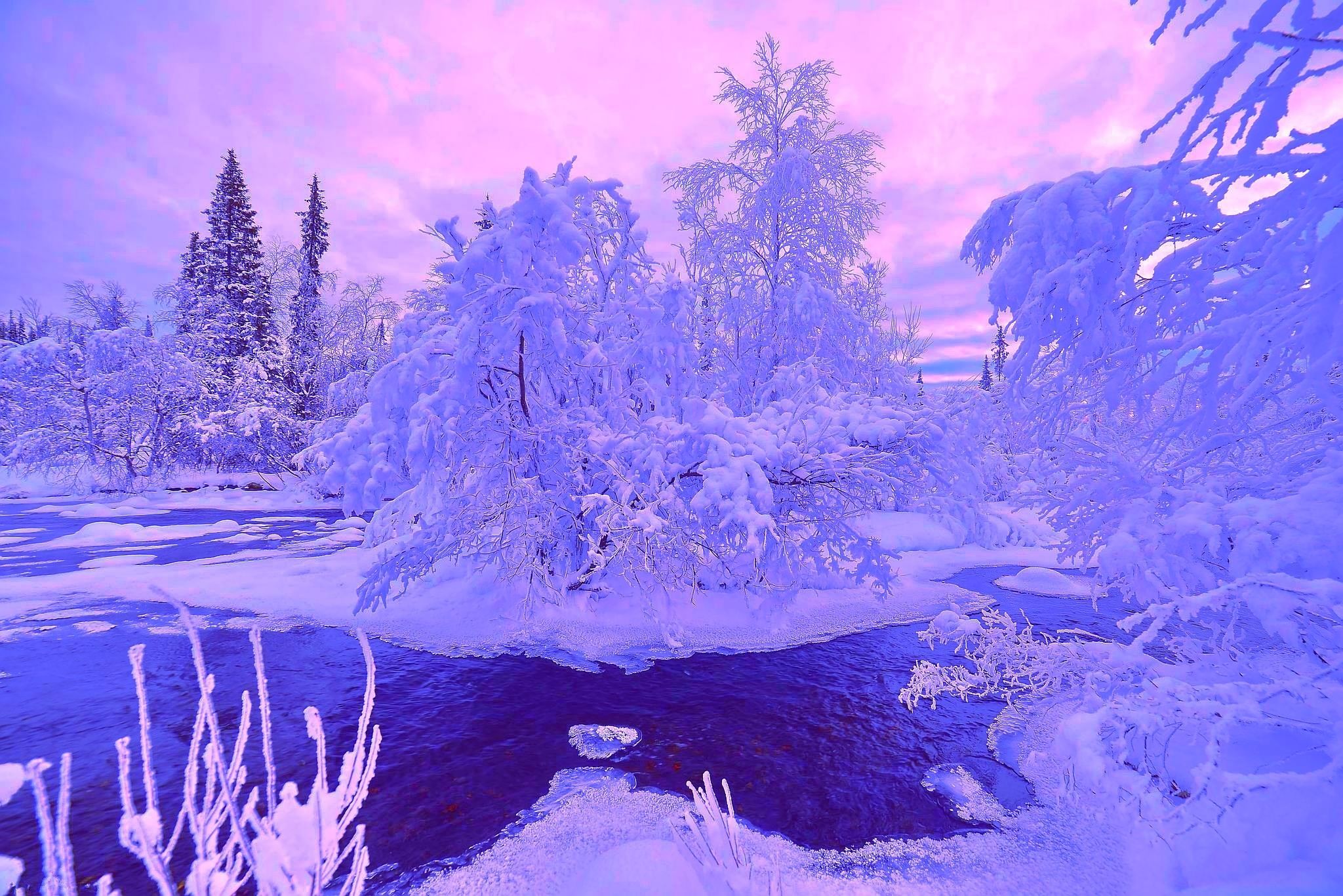 Laden Sie das Winter, Rosa, Schnee, Baum, Fluss, Himmel, Sonnenuntergang, Erde/natur-Bild kostenlos auf Ihren PC-Desktop herunter