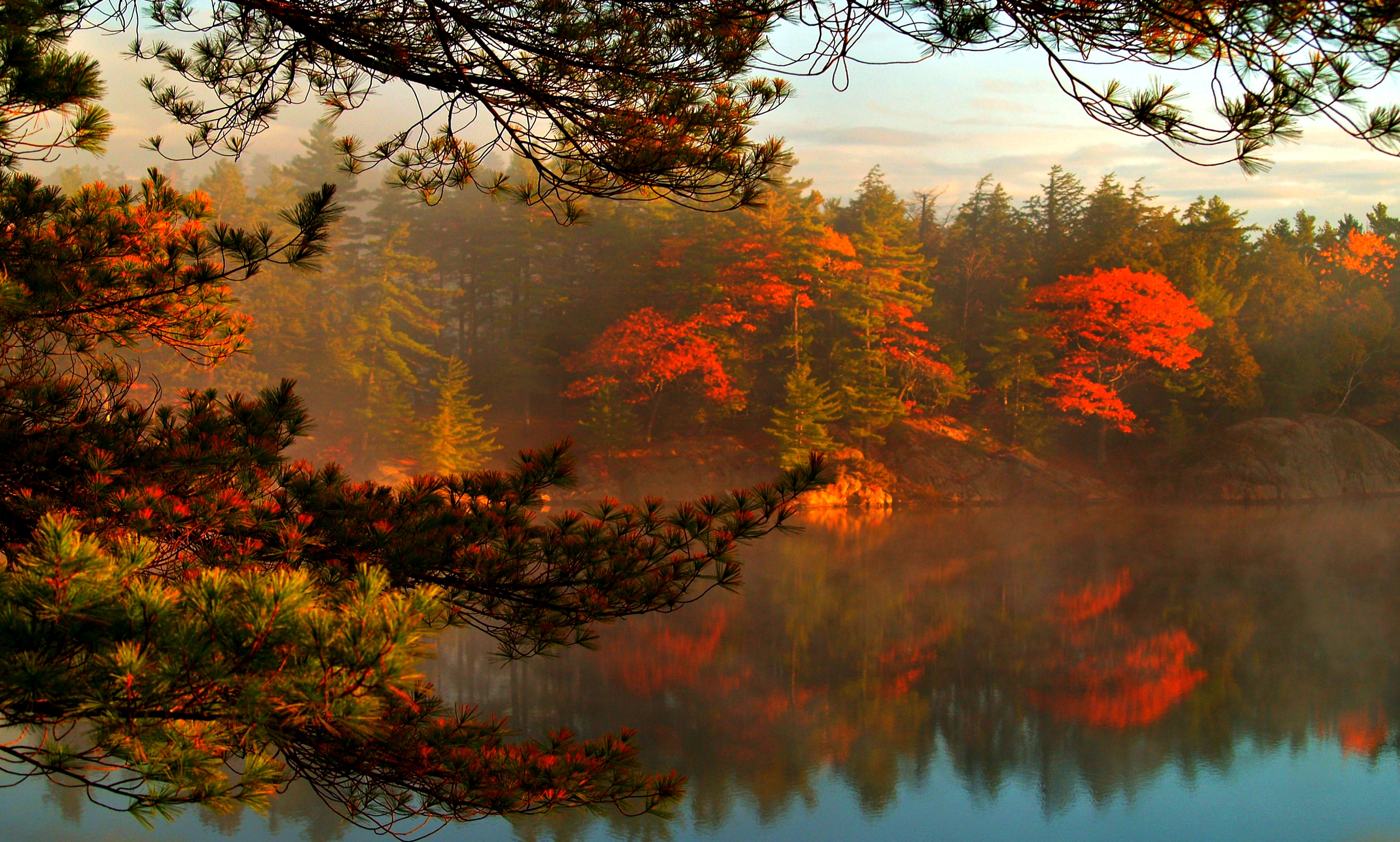 PCデスクトップに木, 秋, 湖, 森, 霧, 地球画像を無料でダウンロード