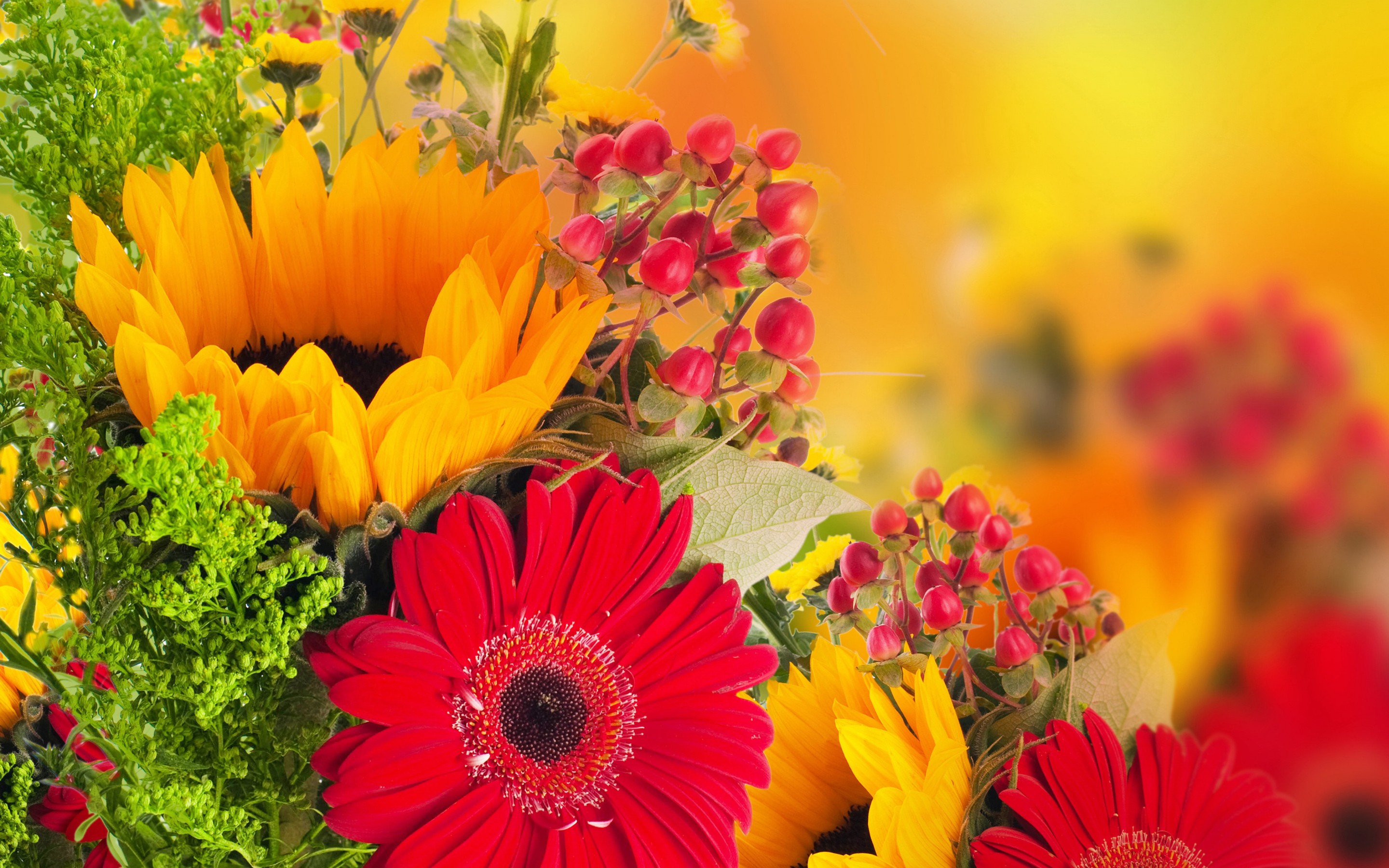 Téléchargez gratuitement l'image Fleurs, Fleur, Terre/nature sur le bureau de votre PC