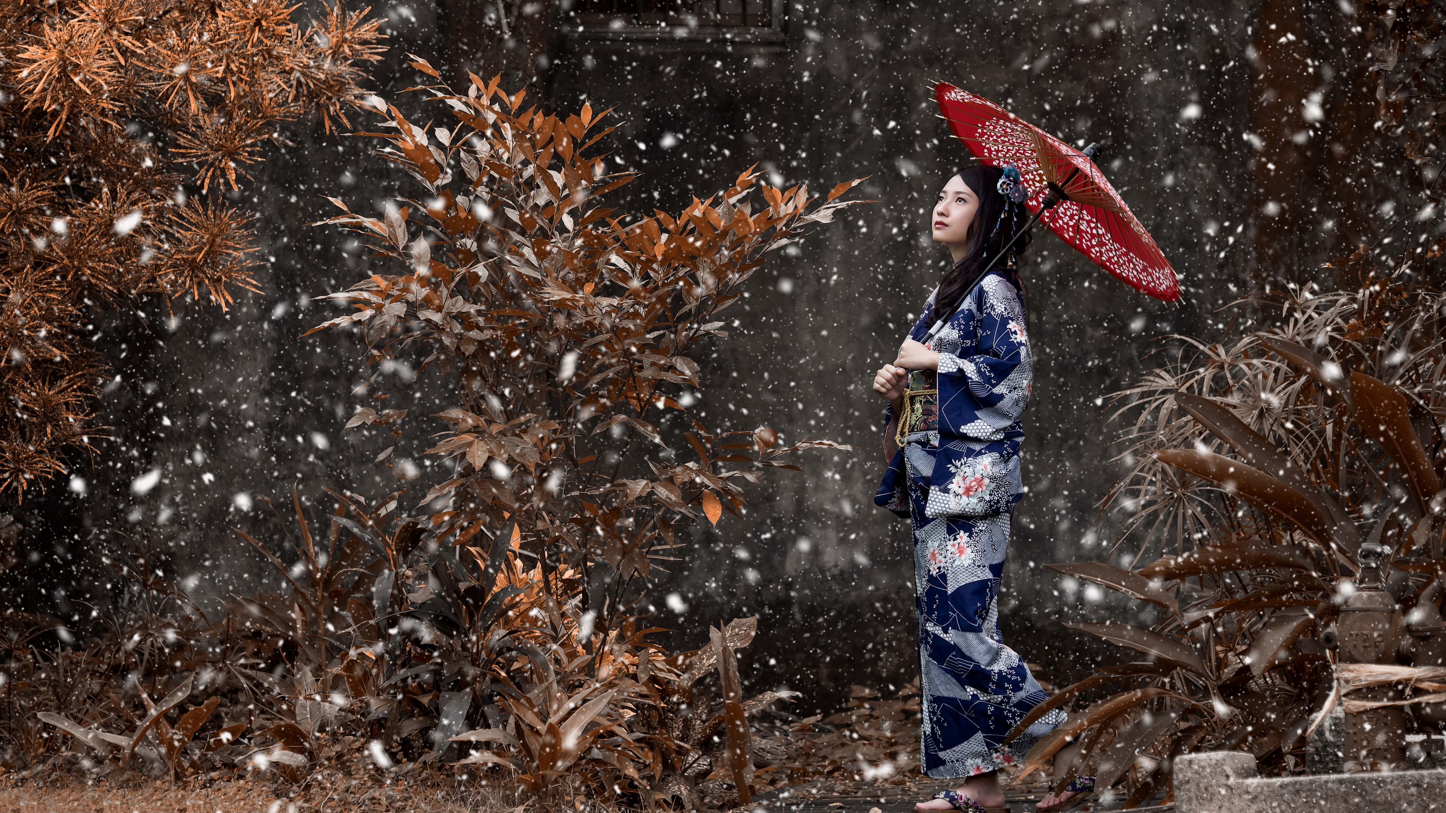 Téléchargez des papiers peints mobile Parapluie, Kimono, Brune, Chute De Neige, Asiatique, Femmes, Top Model gratuitement.