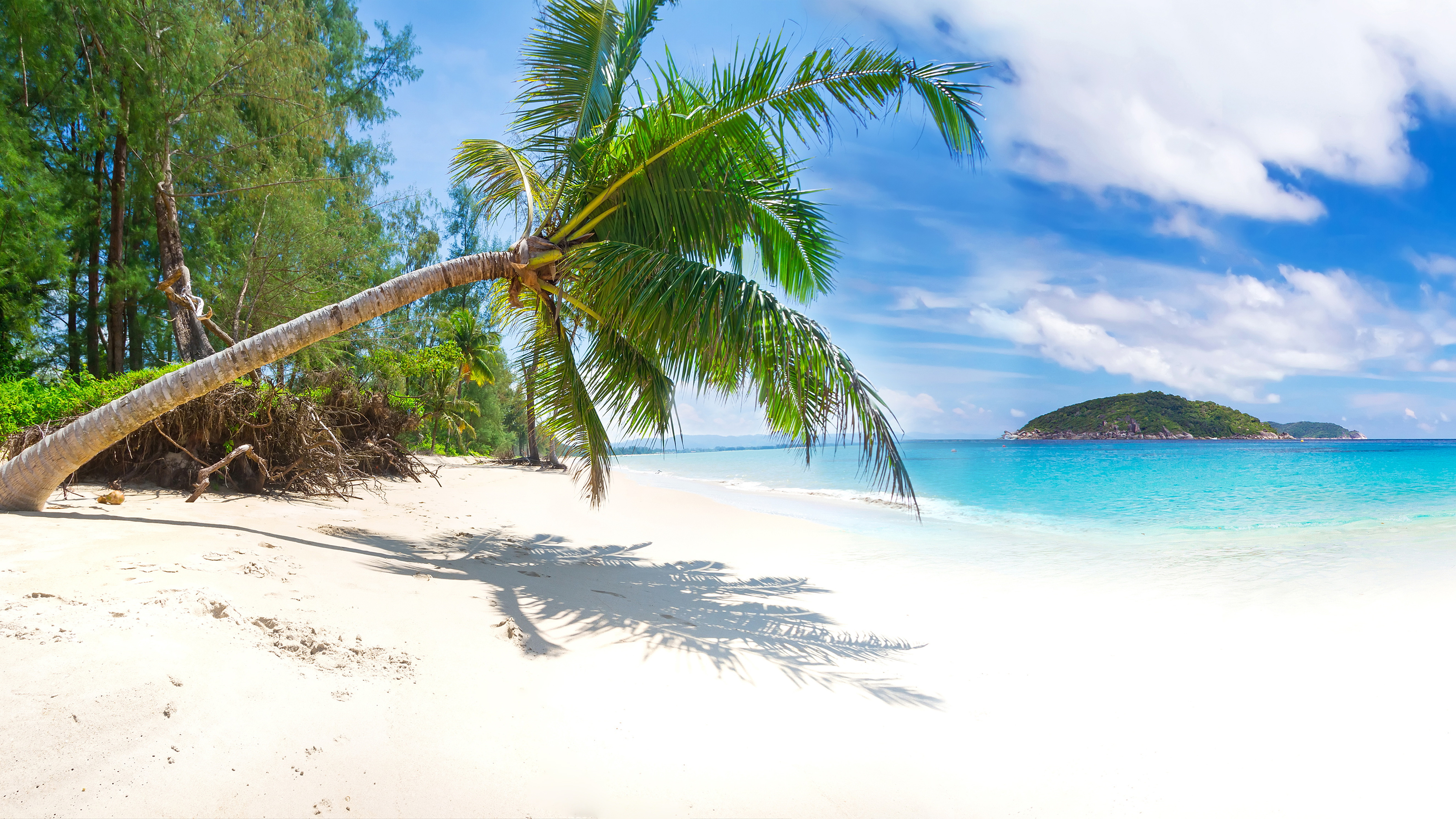 Descarga gratis la imagen Mar, Playa, Arena, Costa, Tierra/naturaleza, Palmera, Tropico en el escritorio de tu PC