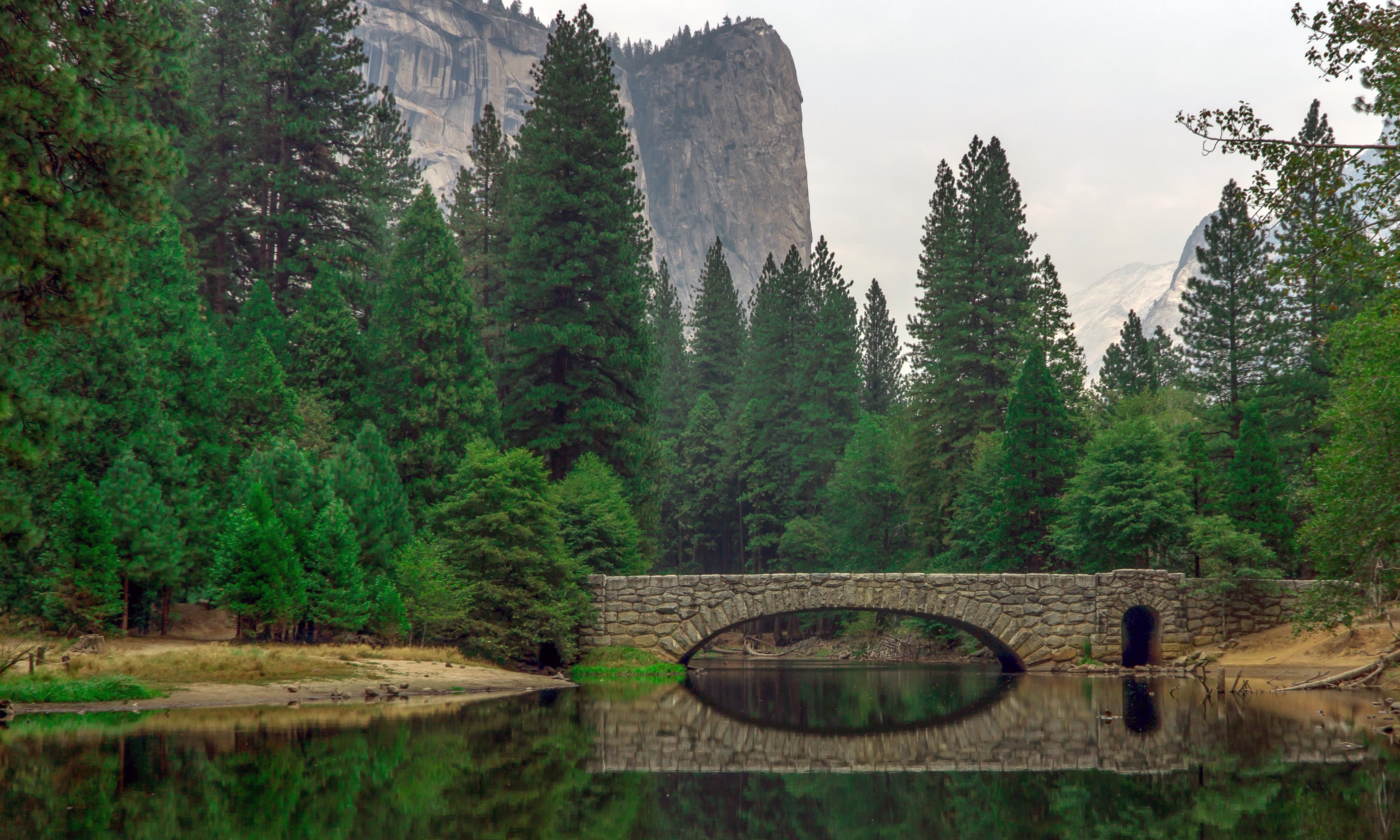 Free download wallpaper Nature, Bridges, Reflection, Tree, Bridge, River, Man Made on your PC desktop