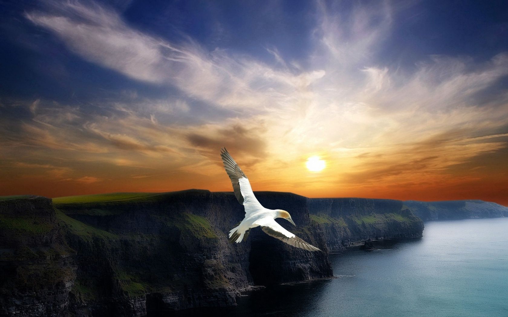 Free download wallpaper Nature, Sunset, Mountains, Flight, Evening, Wings, Bird on your PC desktop