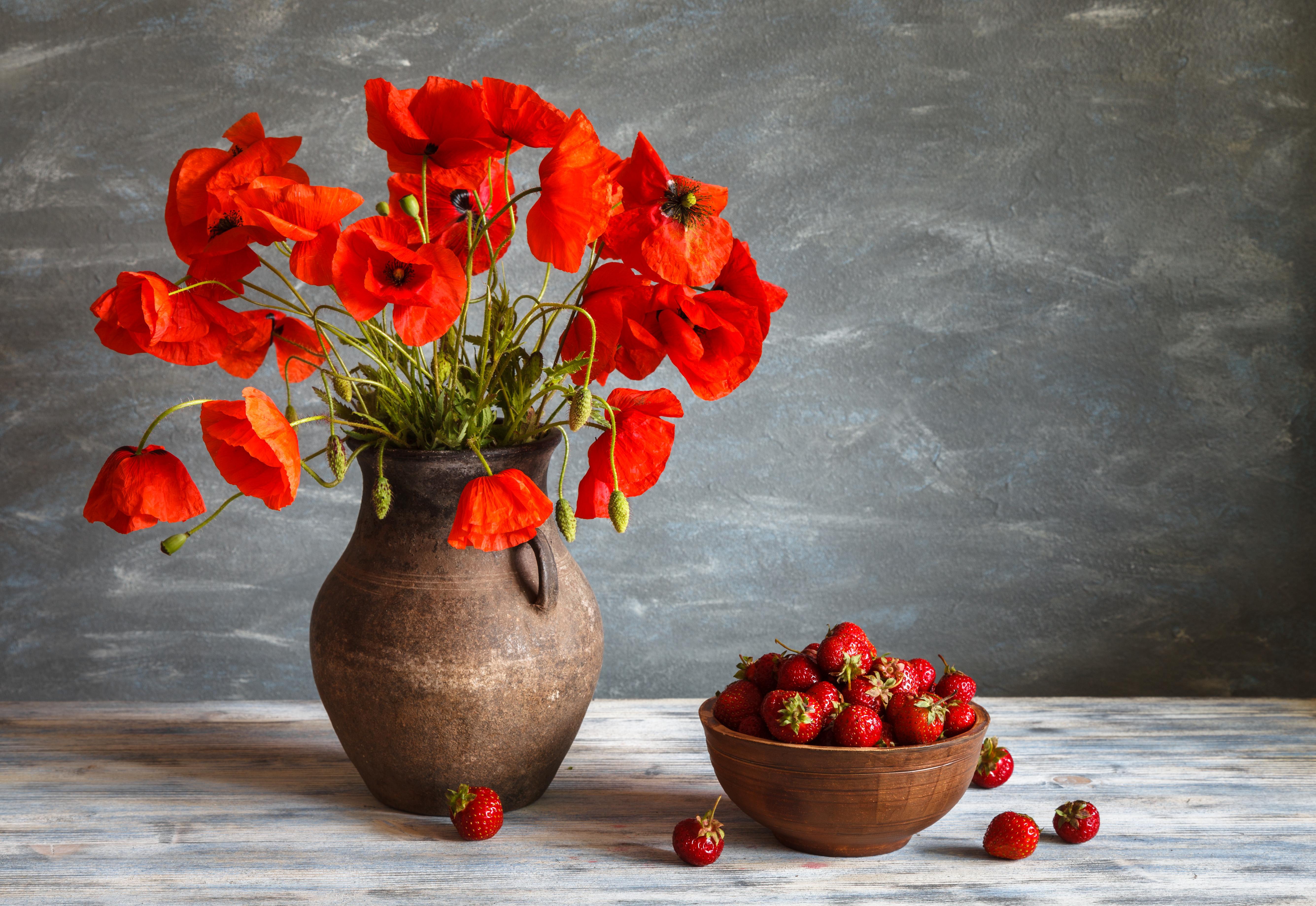 Téléchargez des papiers peints mobile Fraise, Fleur, Fruit, Vase, Coquelicot, Photographie, Fleur Rouge, Nature Morte gratuitement.