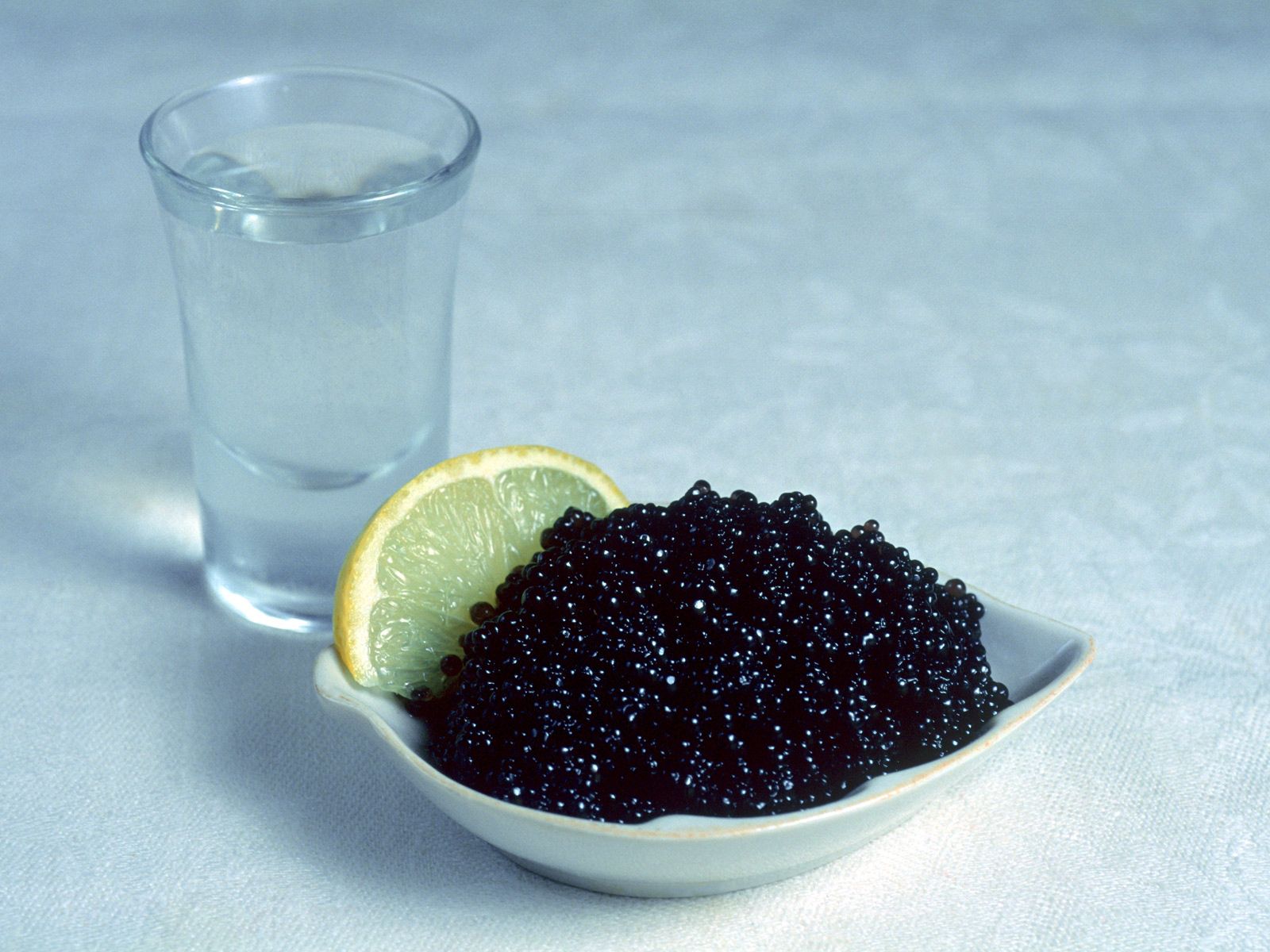 drink, food, tablewares, lemon, beverage, caviar download HD wallpaper