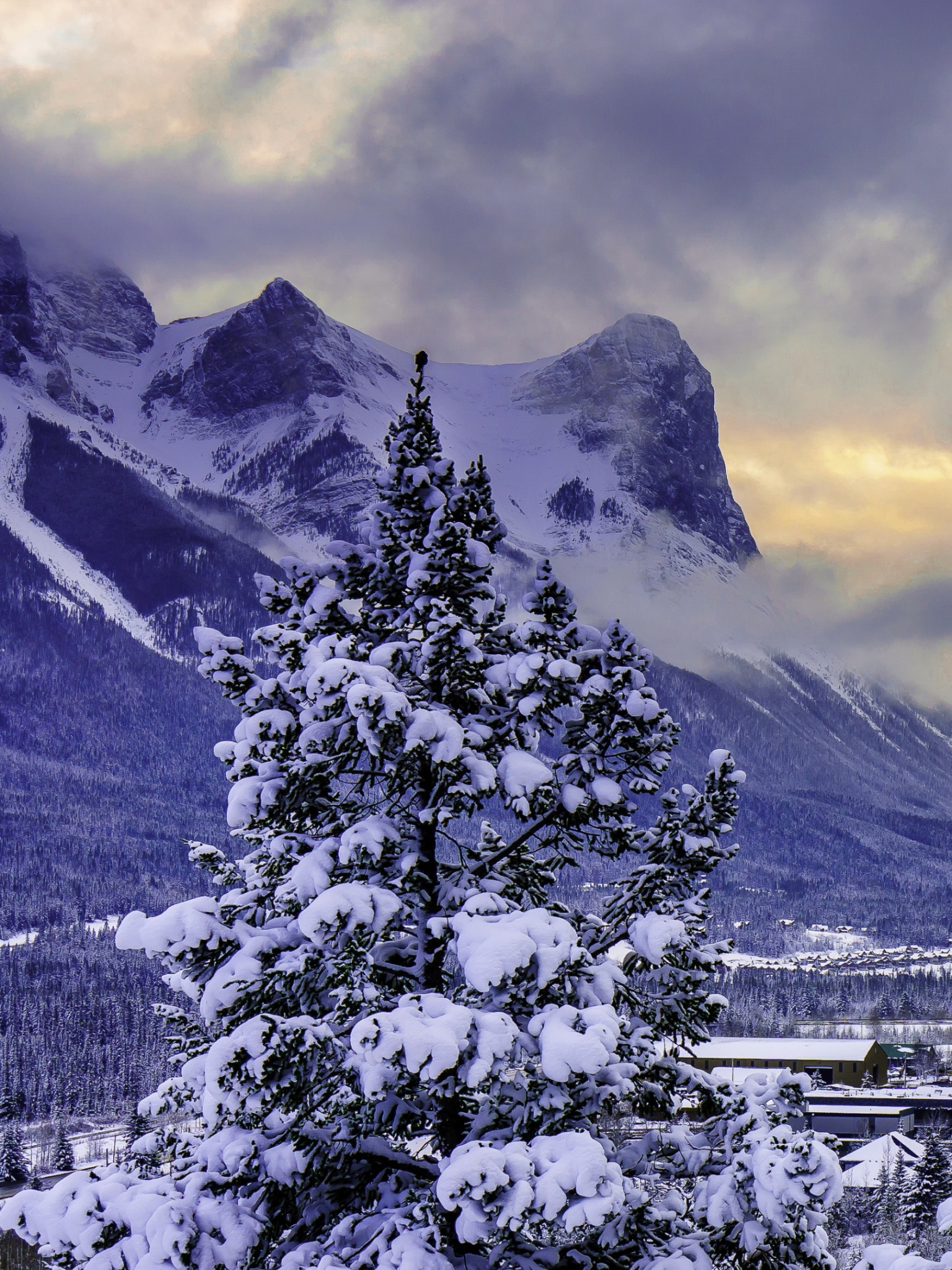 Téléchargez des papiers peints mobile Hiver, Montagne, Canada, Photographie, Alberta, Parc National Banff, Neiger gratuitement.