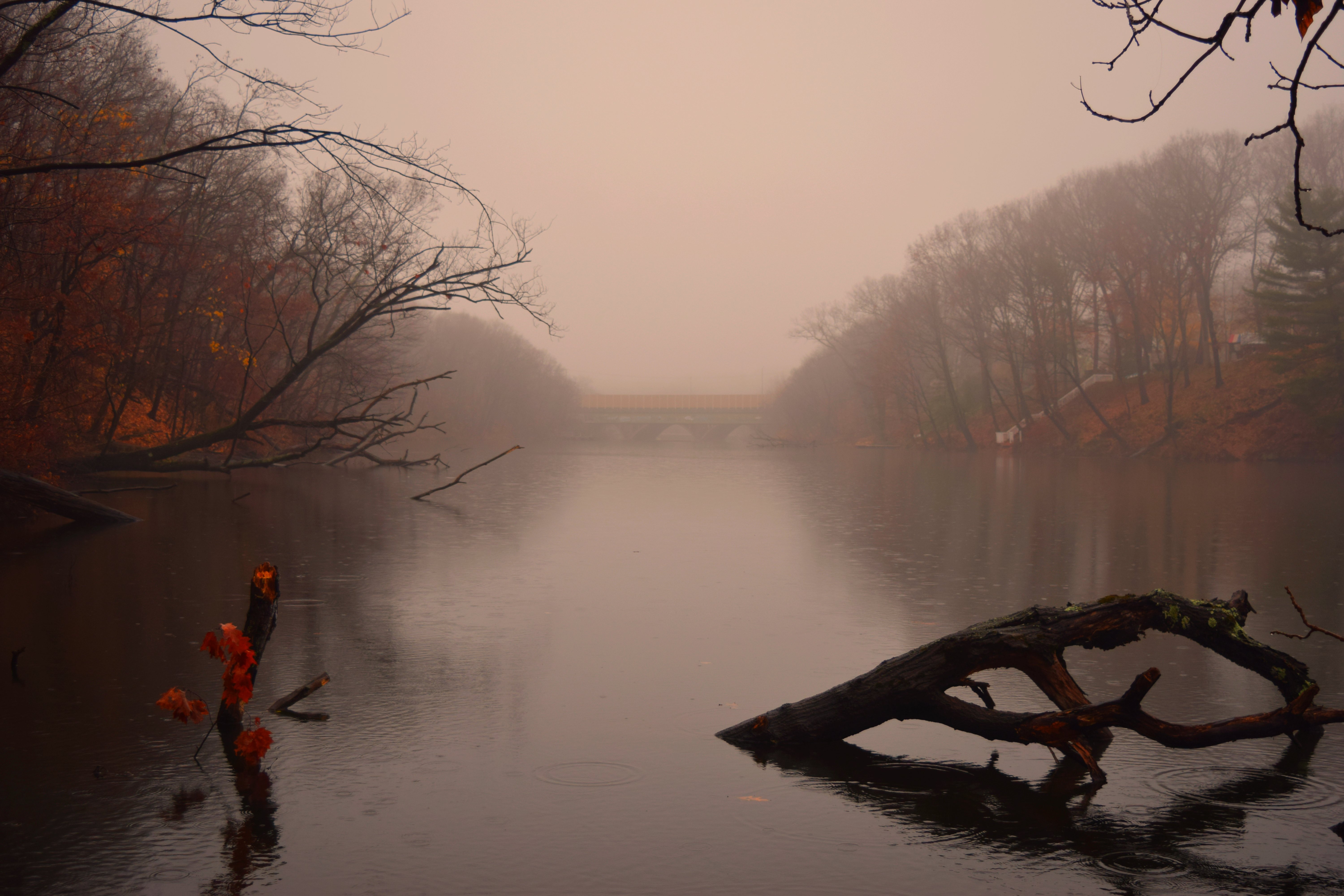 Handy-Wallpaper Fluss, Erde/natur kostenlos herunterladen.