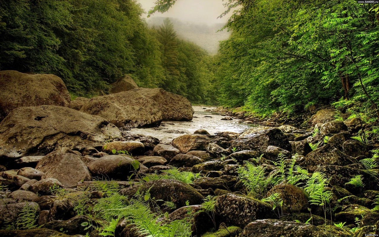 Download mobile wallpaper Stones, Landscape, Rivers, Trees for free.