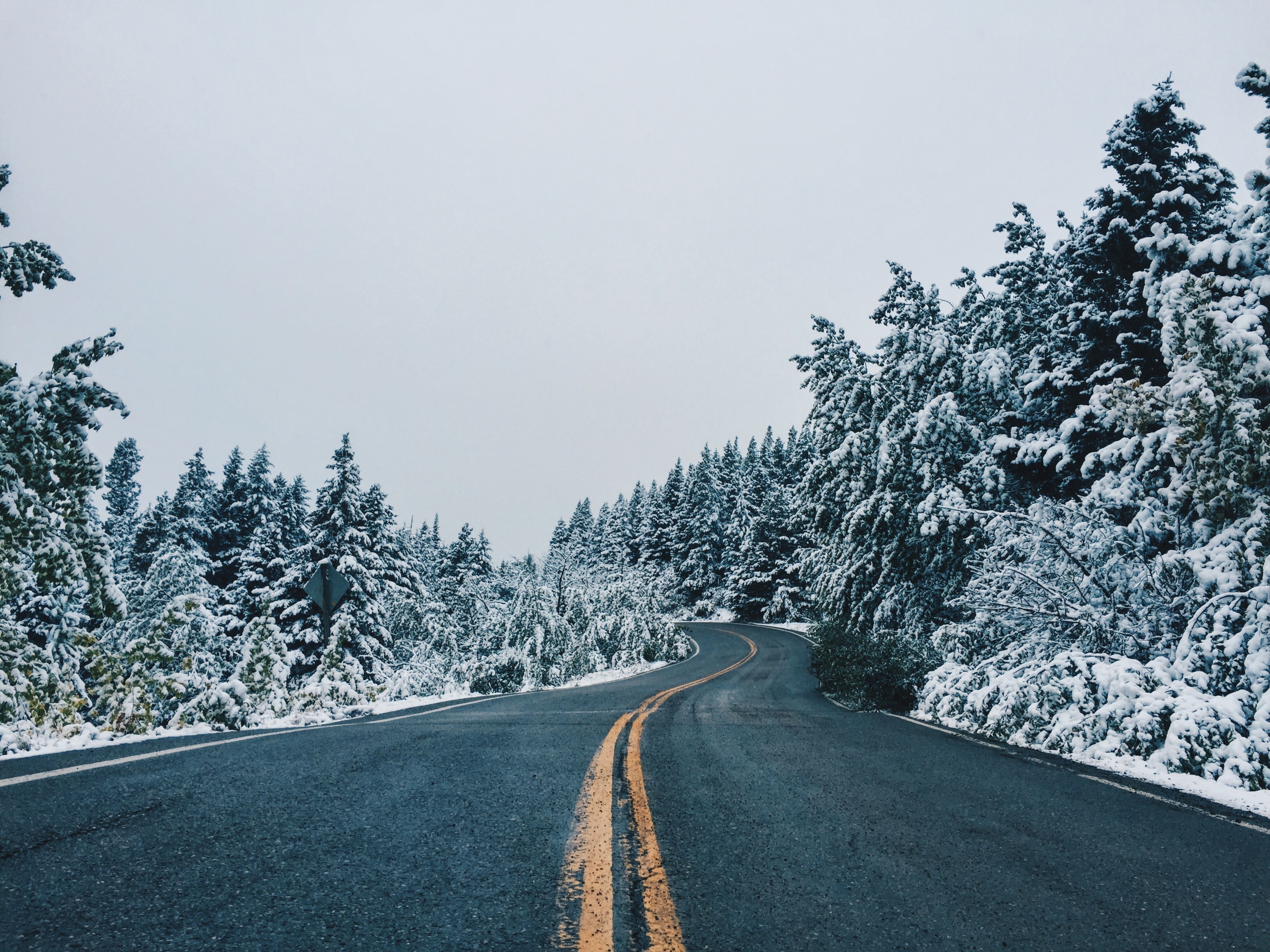 84606 скачать картинку заснеженный, природа, деревья, снег, дорога, даль, извилистый - обои и заставки бесплатно