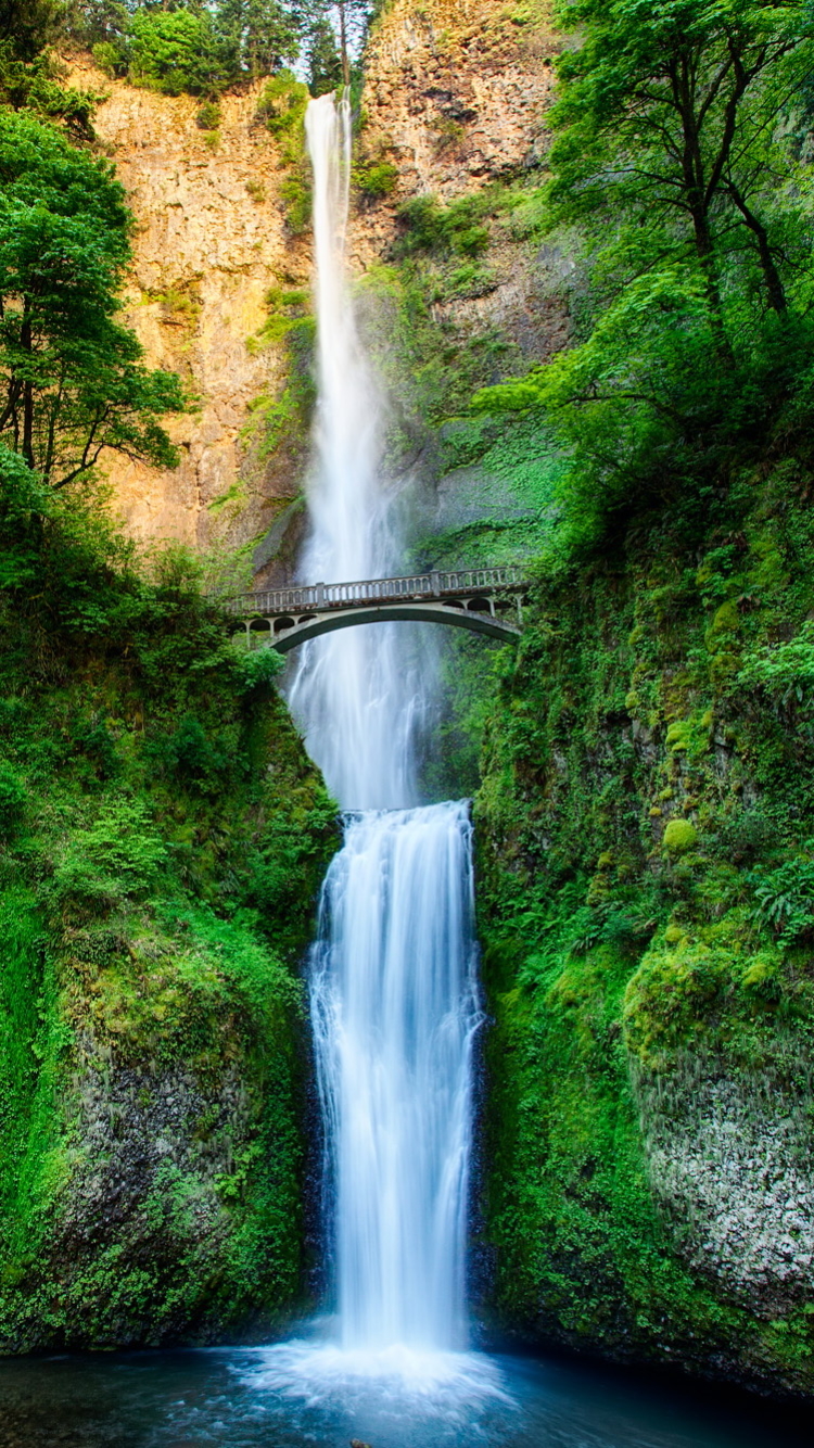 Скачать картинку Водопады, Водопад, Дерево, Земля, Мост, Зеленый, Земля/природа в телефон бесплатно.