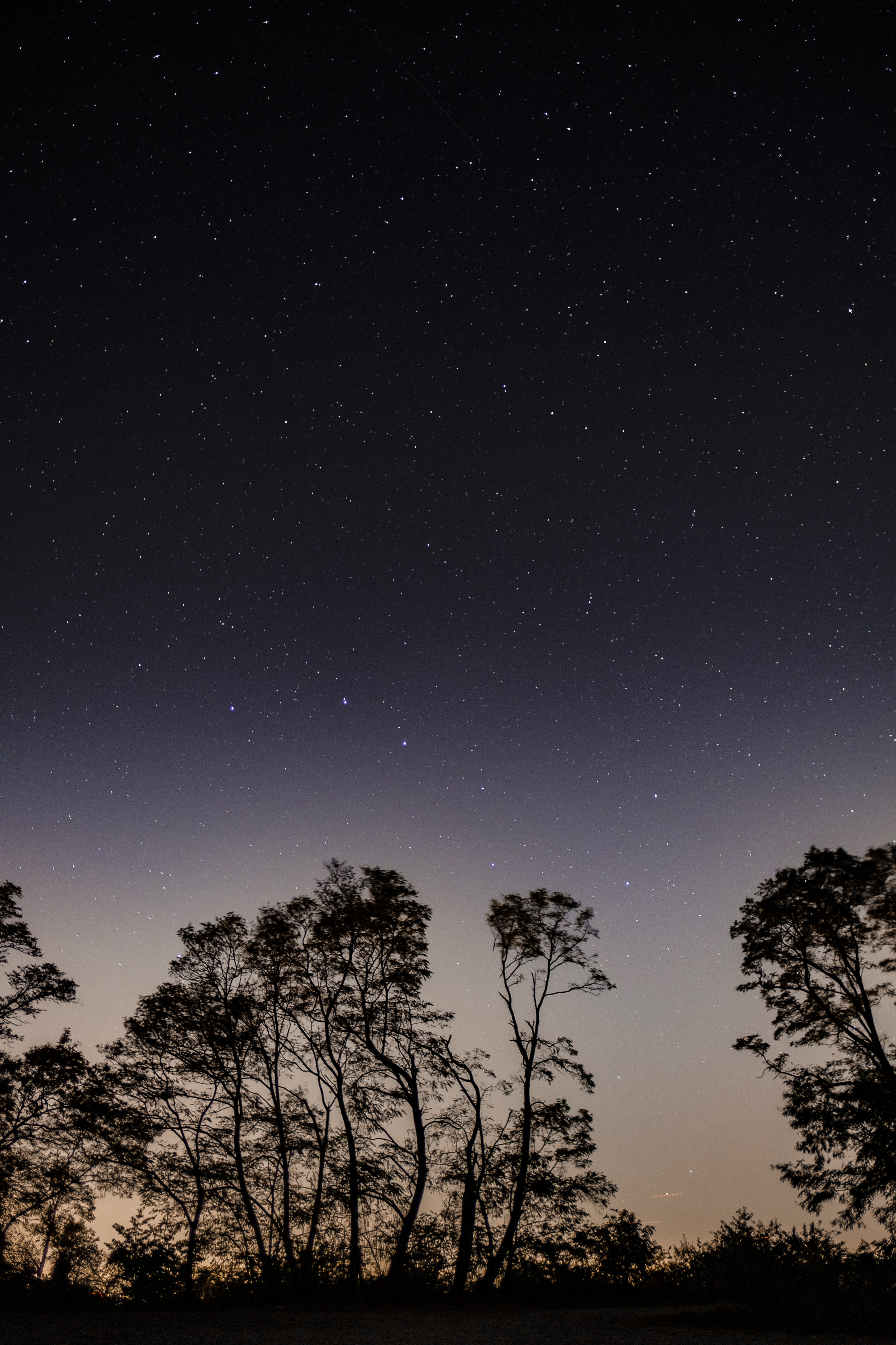 Free download wallpaper Nature, Trees, Sky, Starry Sky, Branches, Night on your PC desktop