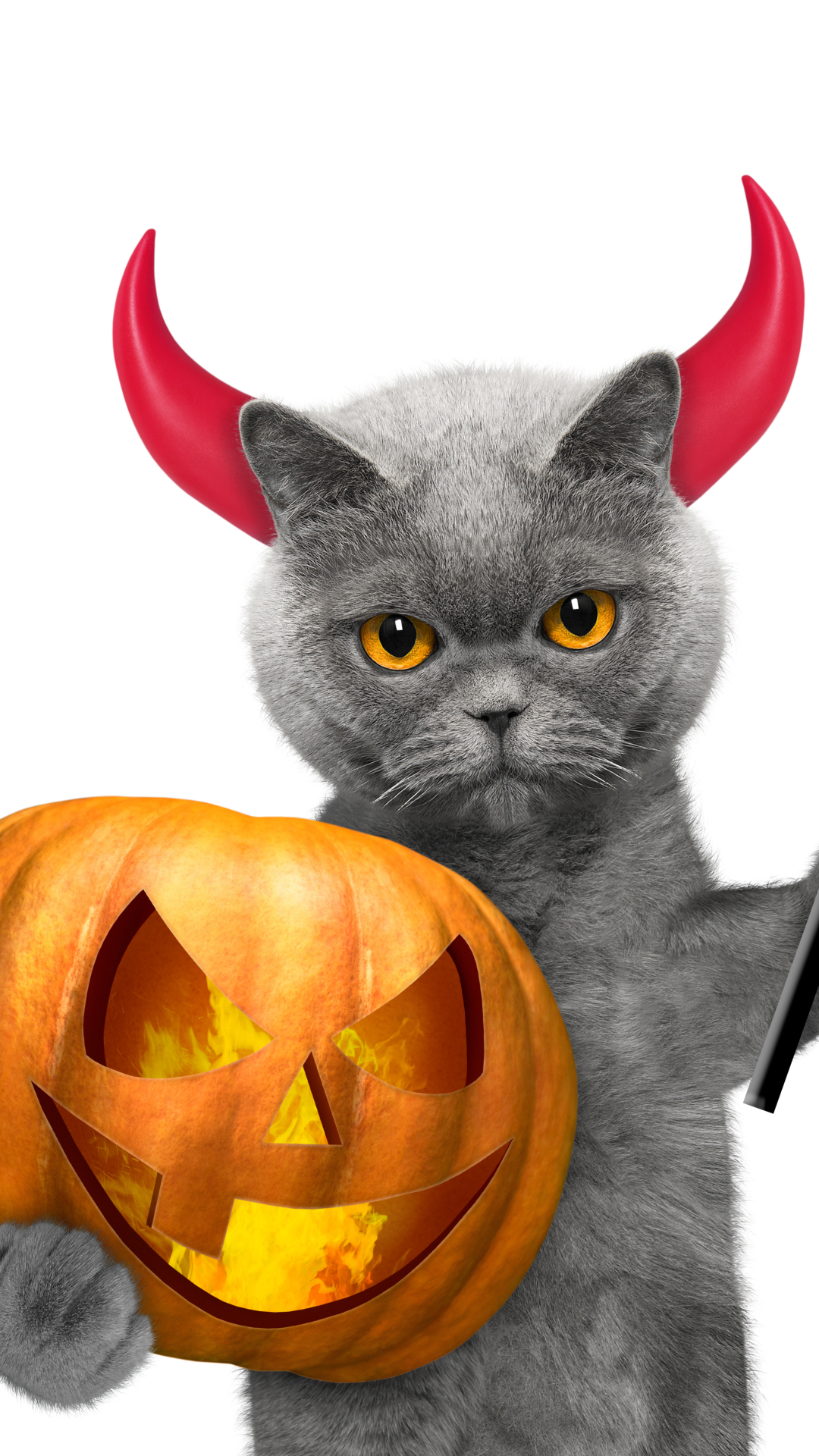 Download mobile wallpaper Halloween, Cat, Holiday, Horns, Jack O' Lantern, Pitchfork for free.