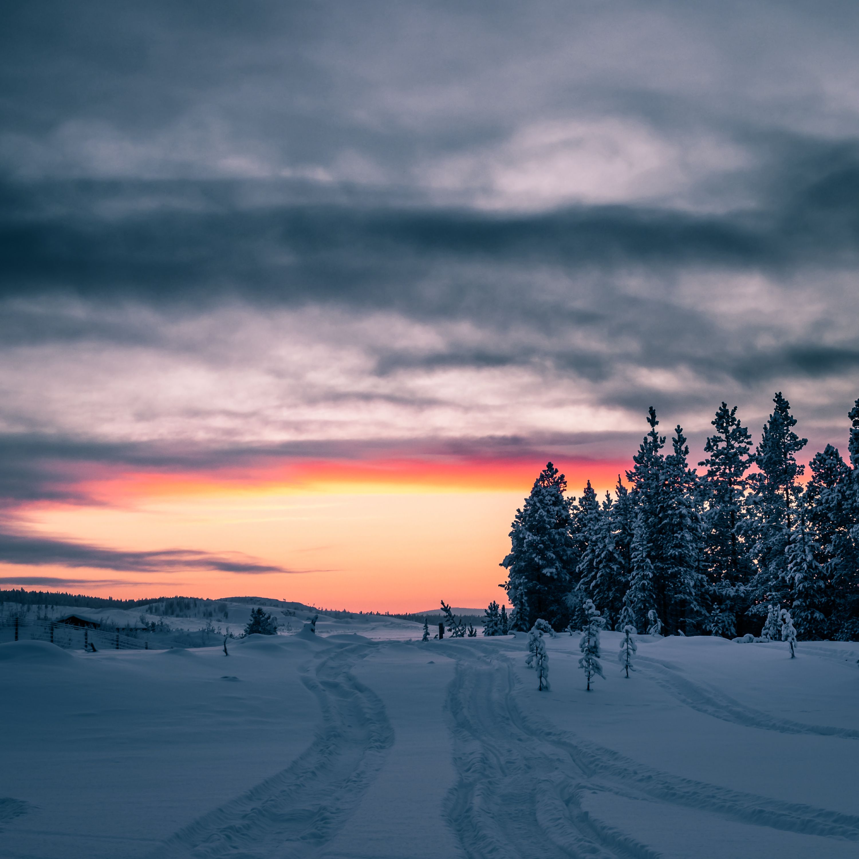 Laden Sie das Natur, Bäume, Sunset, Horizont, Schnee, Winter-Bild kostenlos auf Ihren PC-Desktop herunter