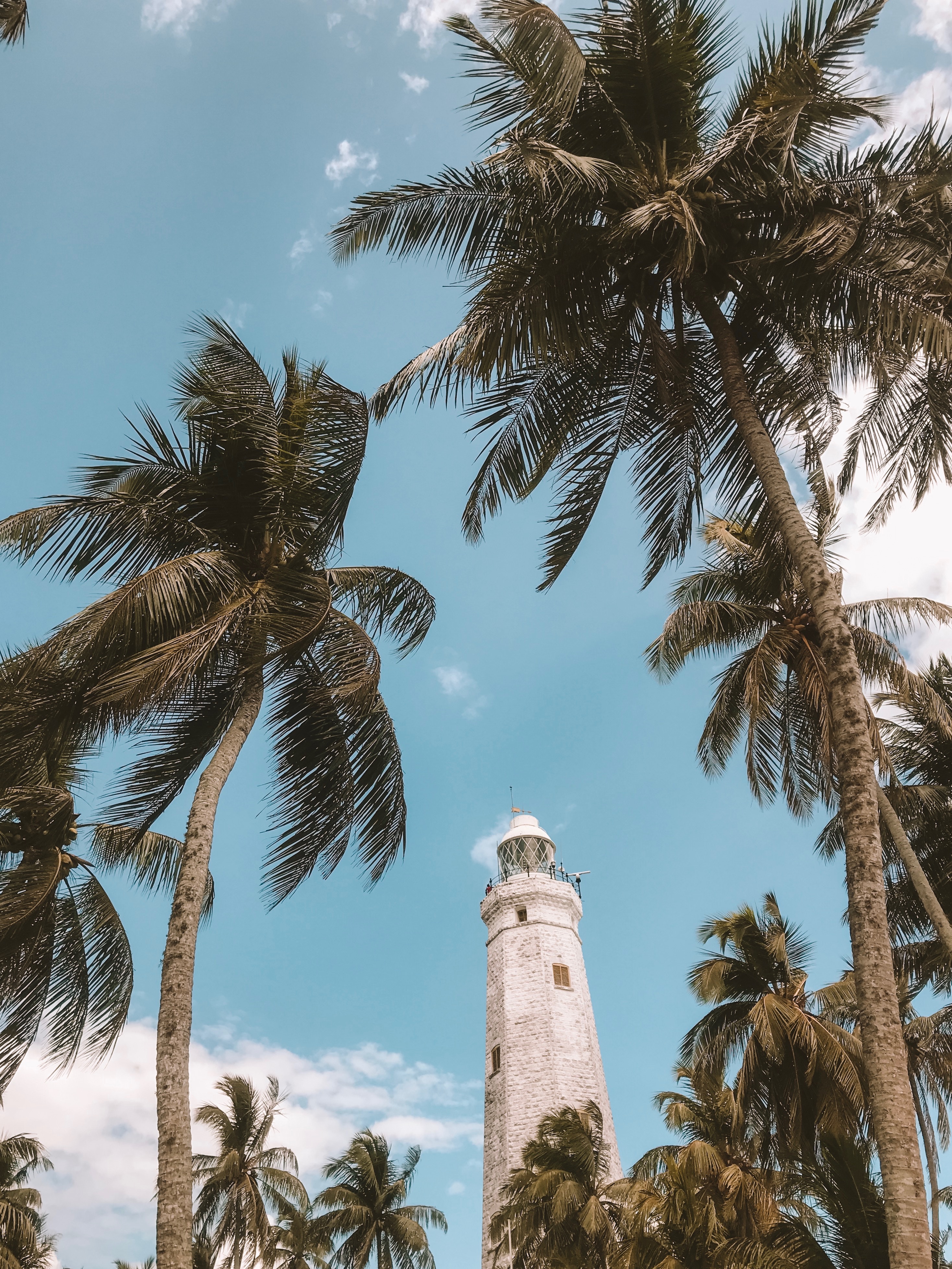 nature, sky, palms, tropics, lighthouse, wind Desktop home screen Wallpaper