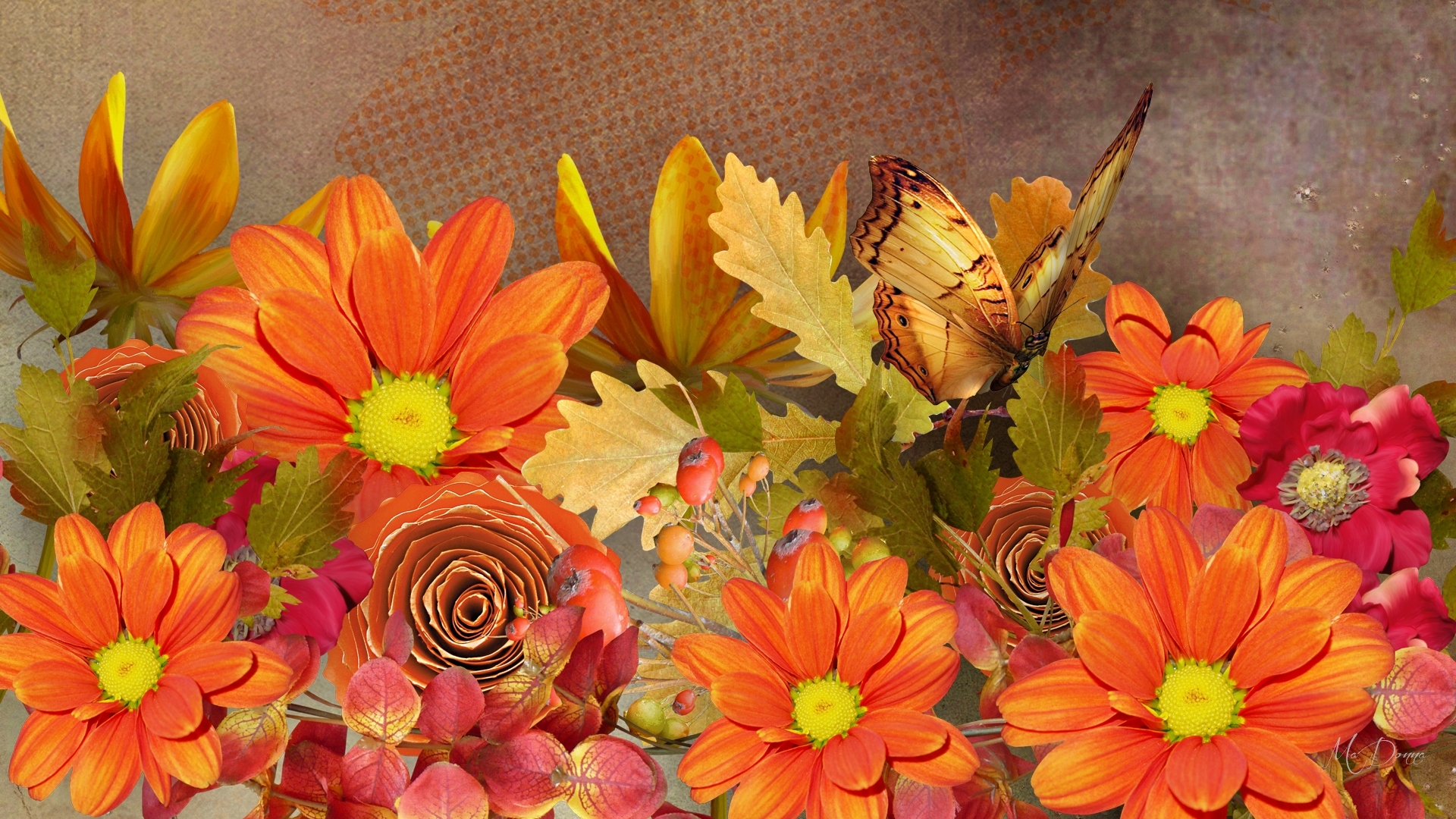 Download mobile wallpaper Flower, Fall, Colors, Butterfly, Artistic for free.