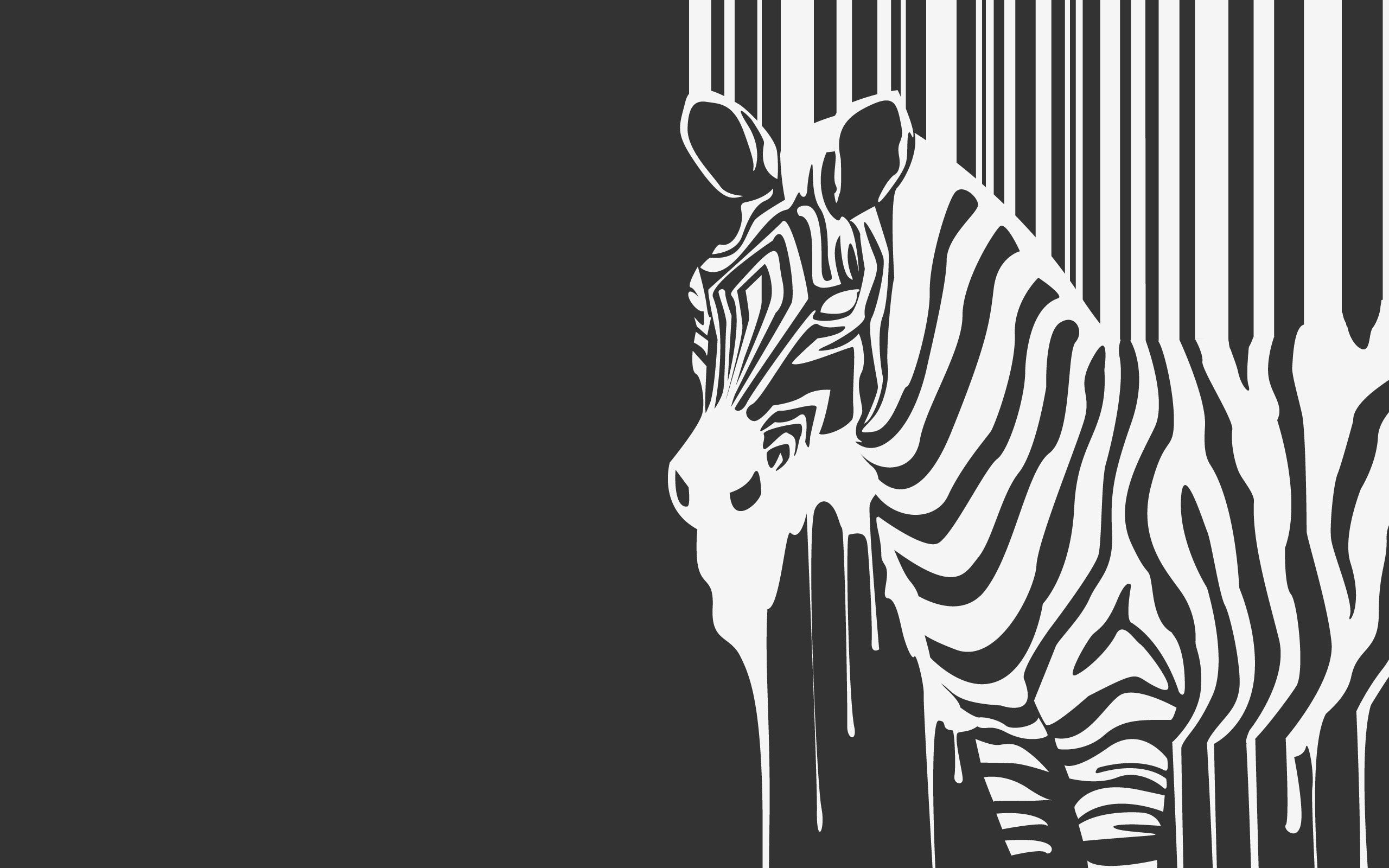97867 baixar papel de parede zebra, minimalismo, listras, animal, fera, fluxos, tiras - protetores de tela e imagens gratuitamente