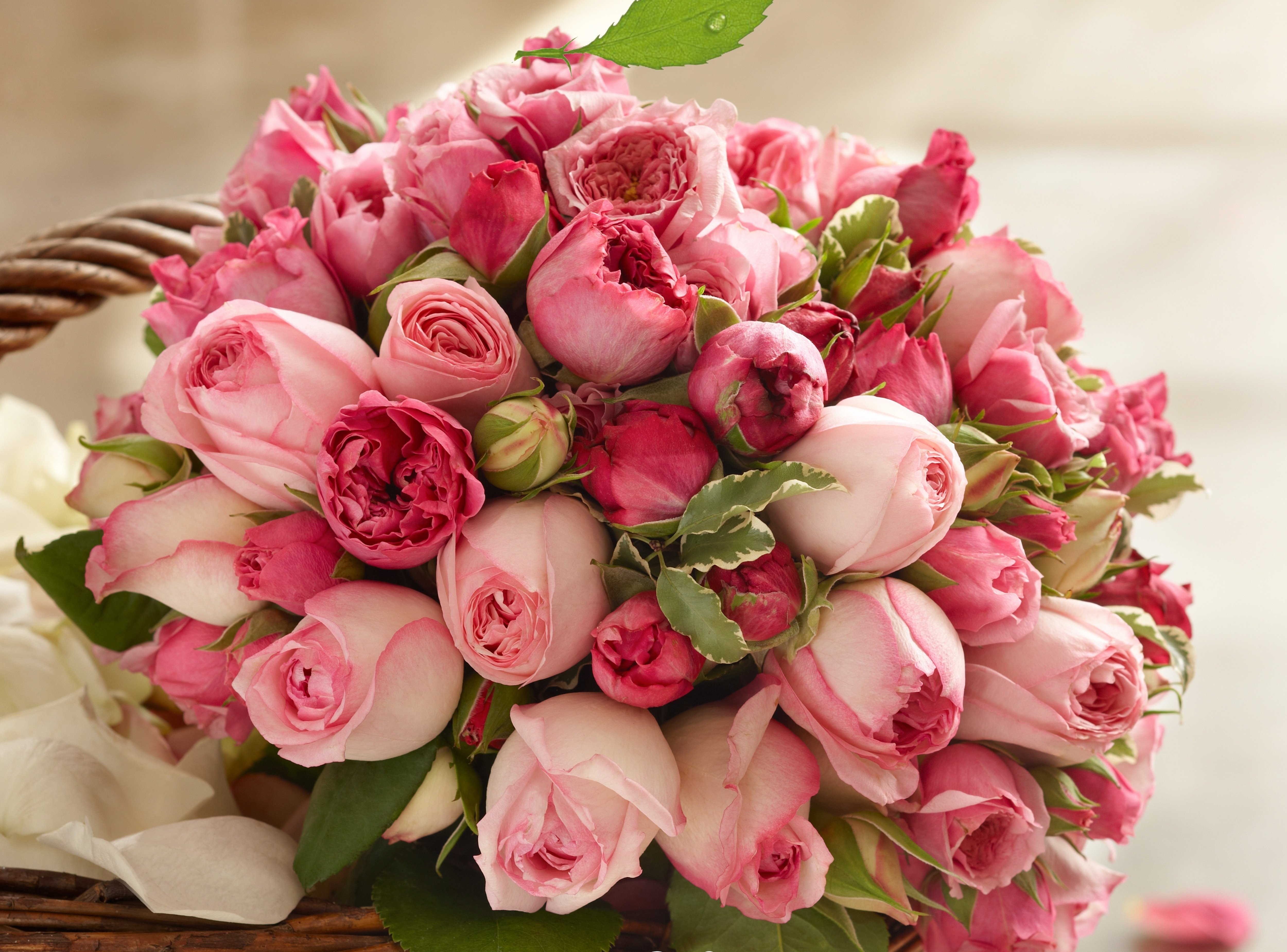 Download mobile wallpaper Flowers, Flower, Rose, Bouquet, Earth, Pink Flower for free.
