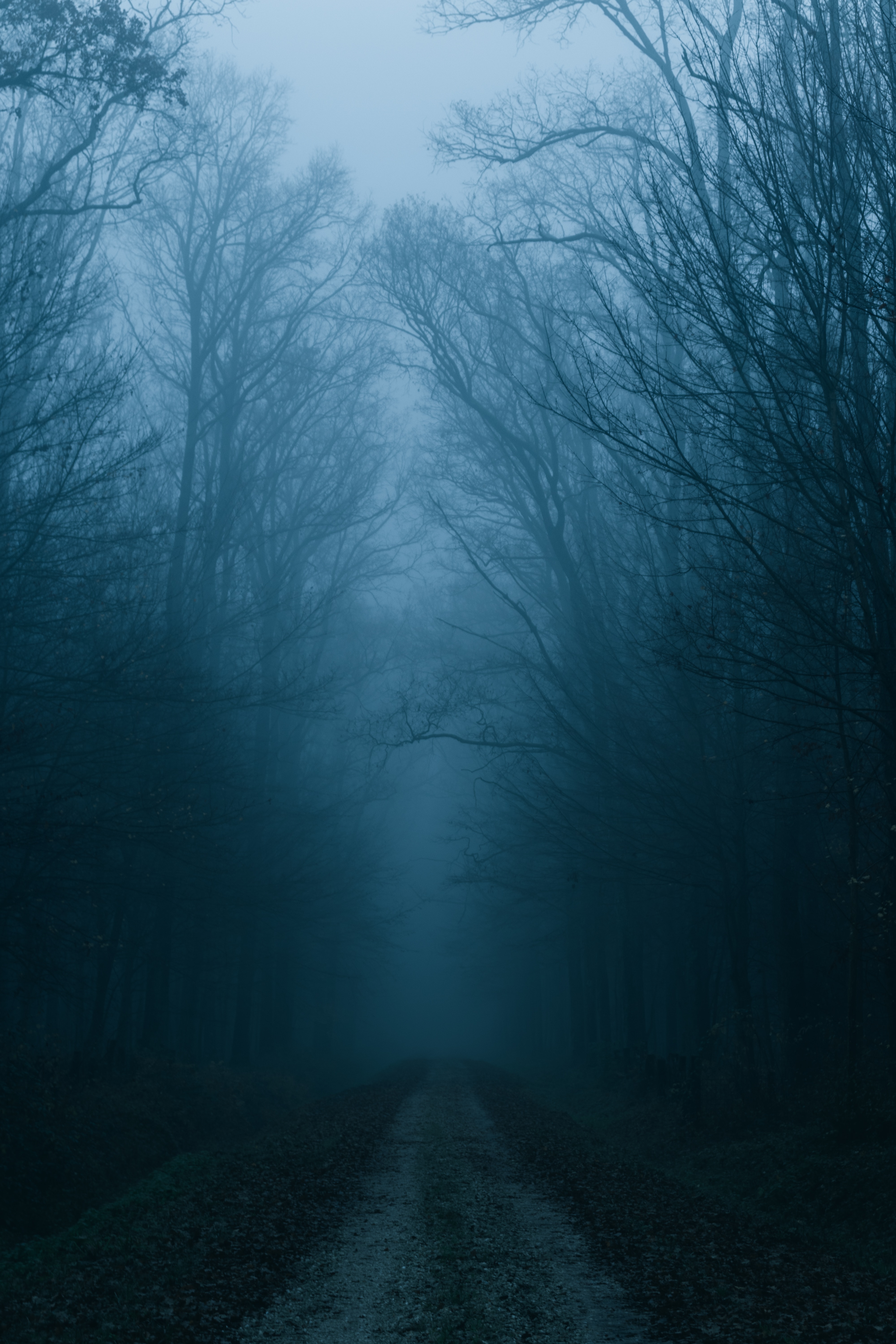 Free download wallpaper Trees, Autumn, Road, Forest, Nature, Fog on your PC desktop