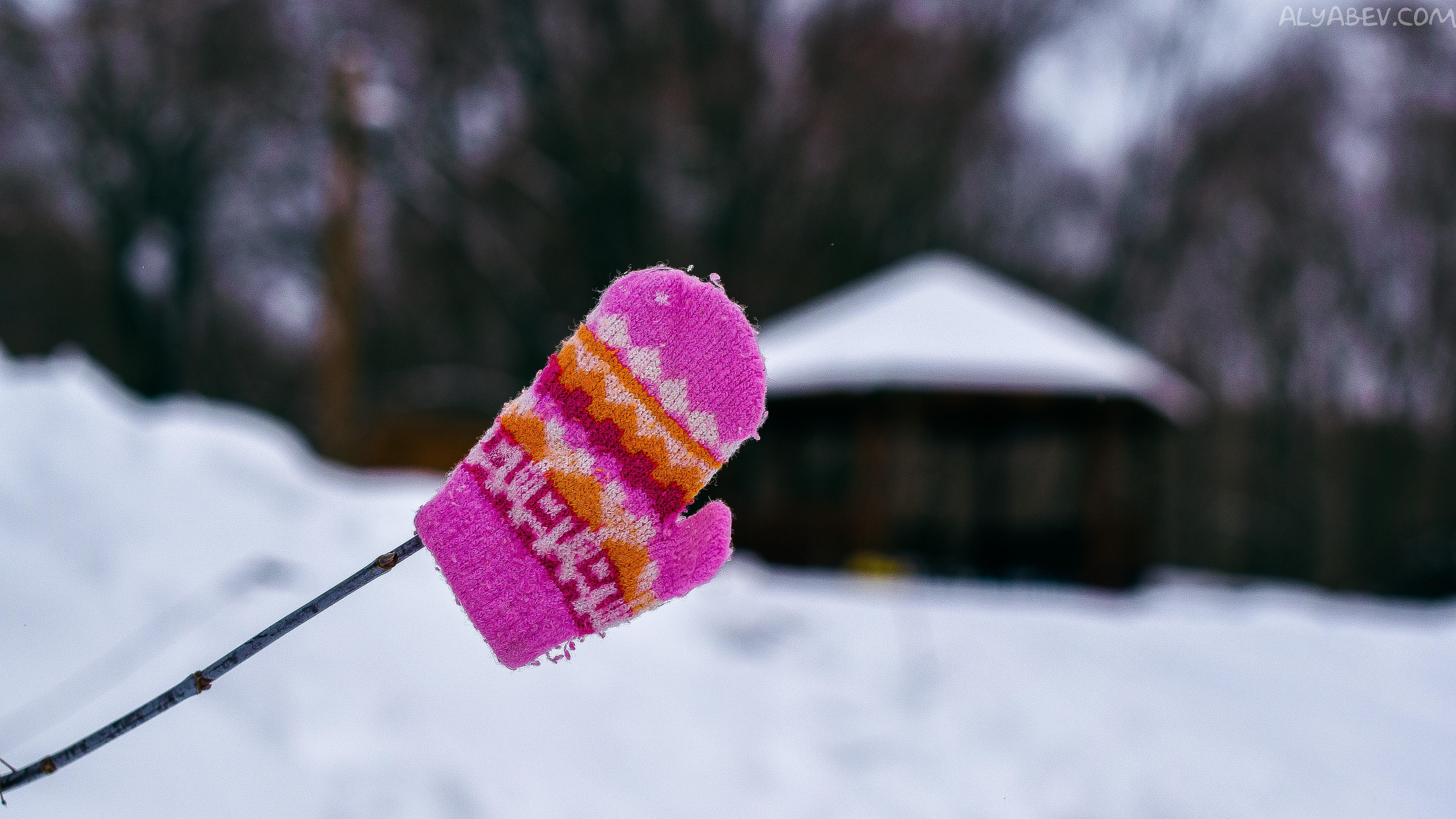 Handy-Wallpaper Winter, Fotografie kostenlos herunterladen.