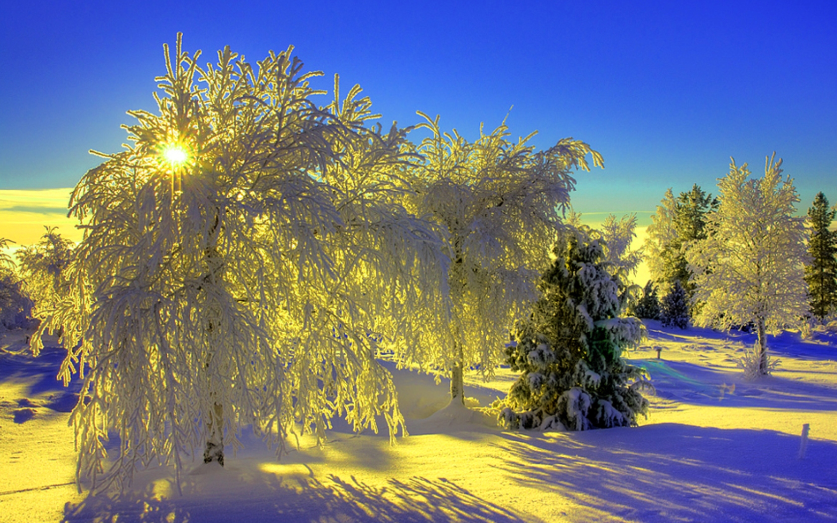 Скачать обои бесплатно Зима, Деревья, Пейзаж картинка на рабочий стол ПК