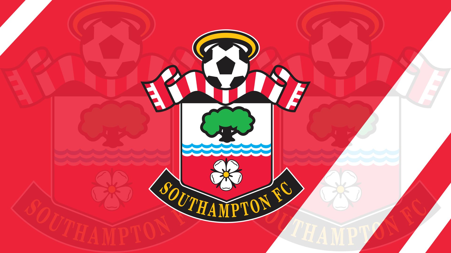 southampton f c, sports, emblem, logo, soccer