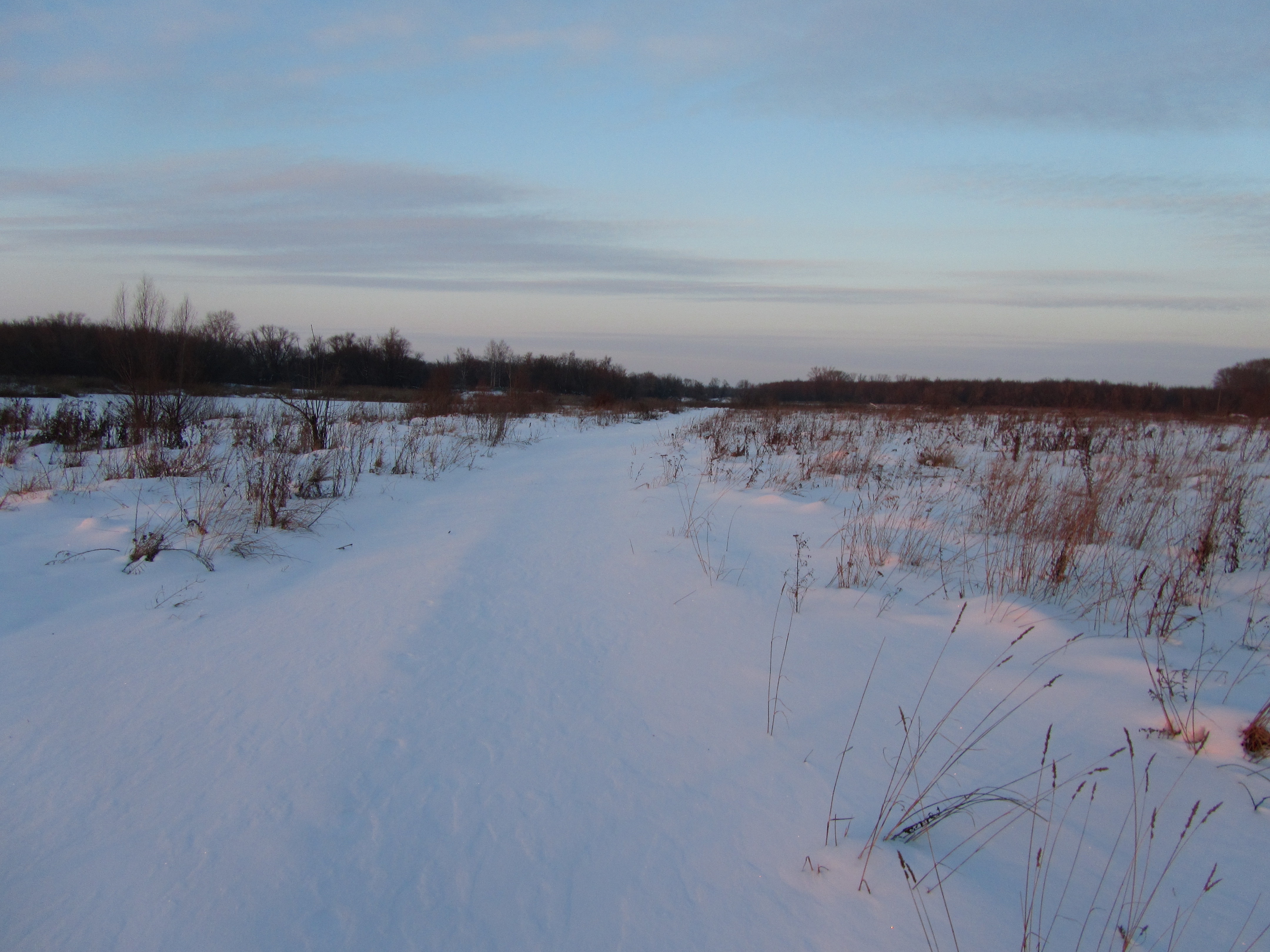 Laden Sie das Winter, Erde/natur-Bild kostenlos auf Ihren PC-Desktop herunter