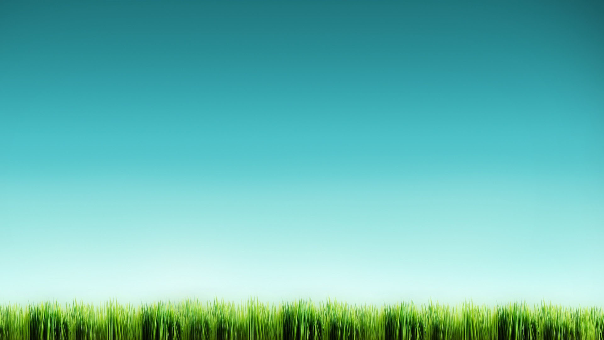 Free download wallpaper Grass, Background, Sky on your PC desktop